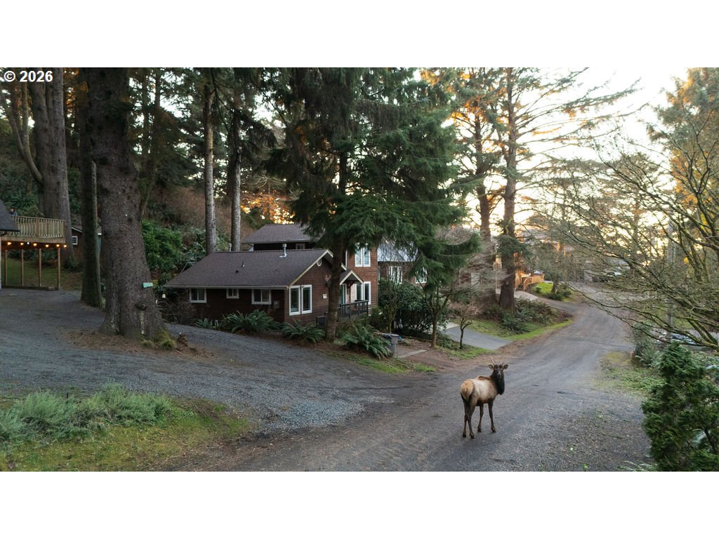 property viewer photo 9