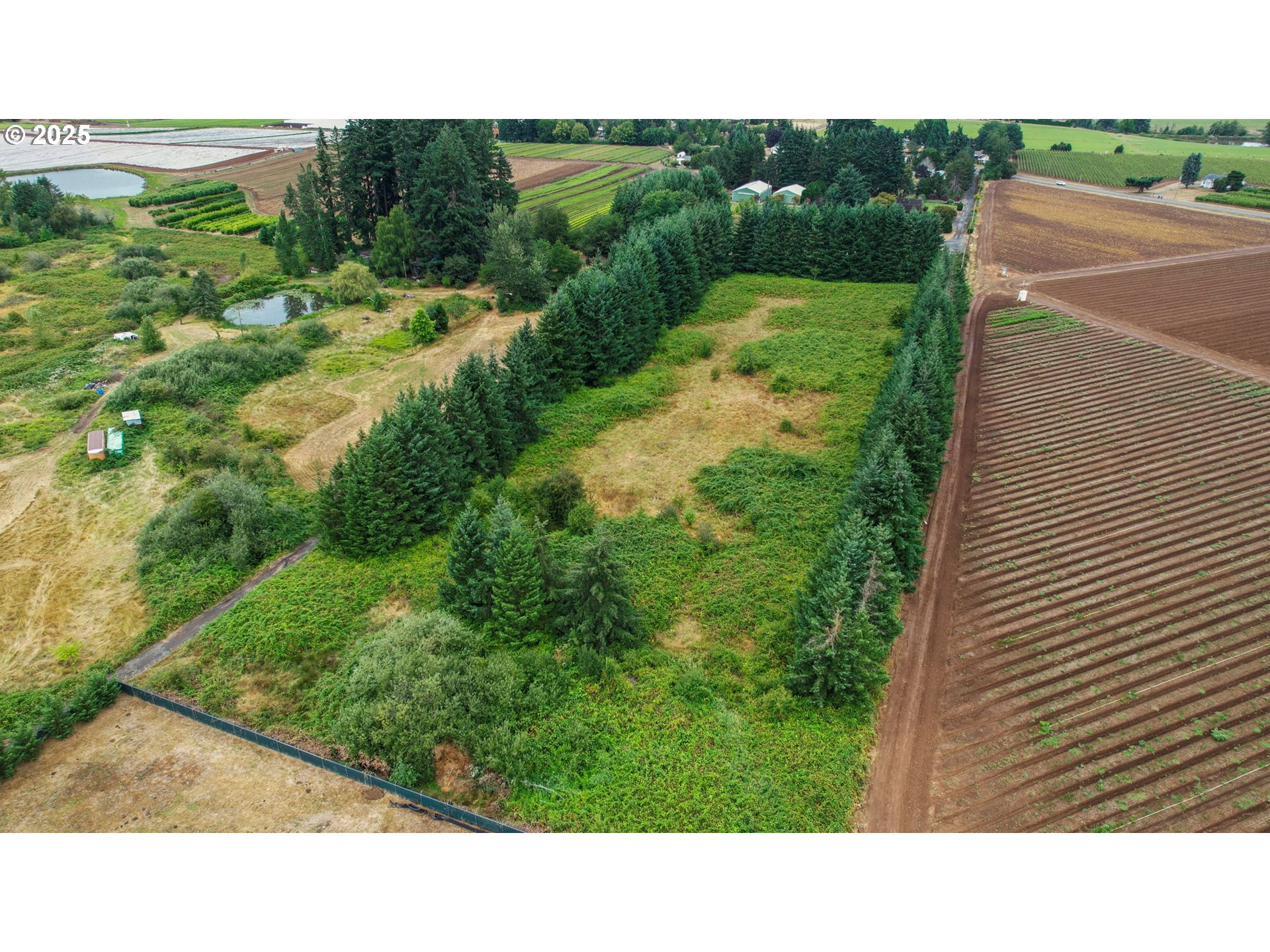 main property photo 31