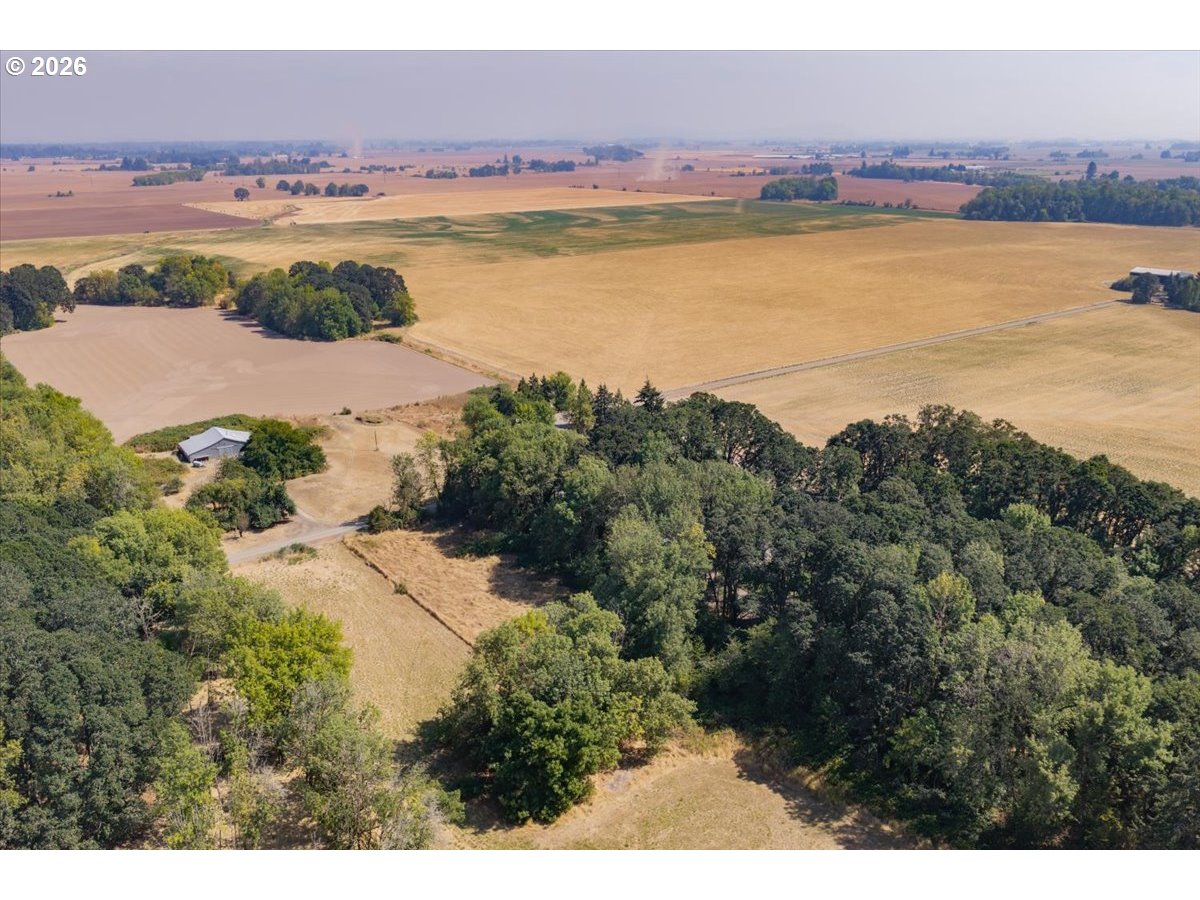 main property photo 46