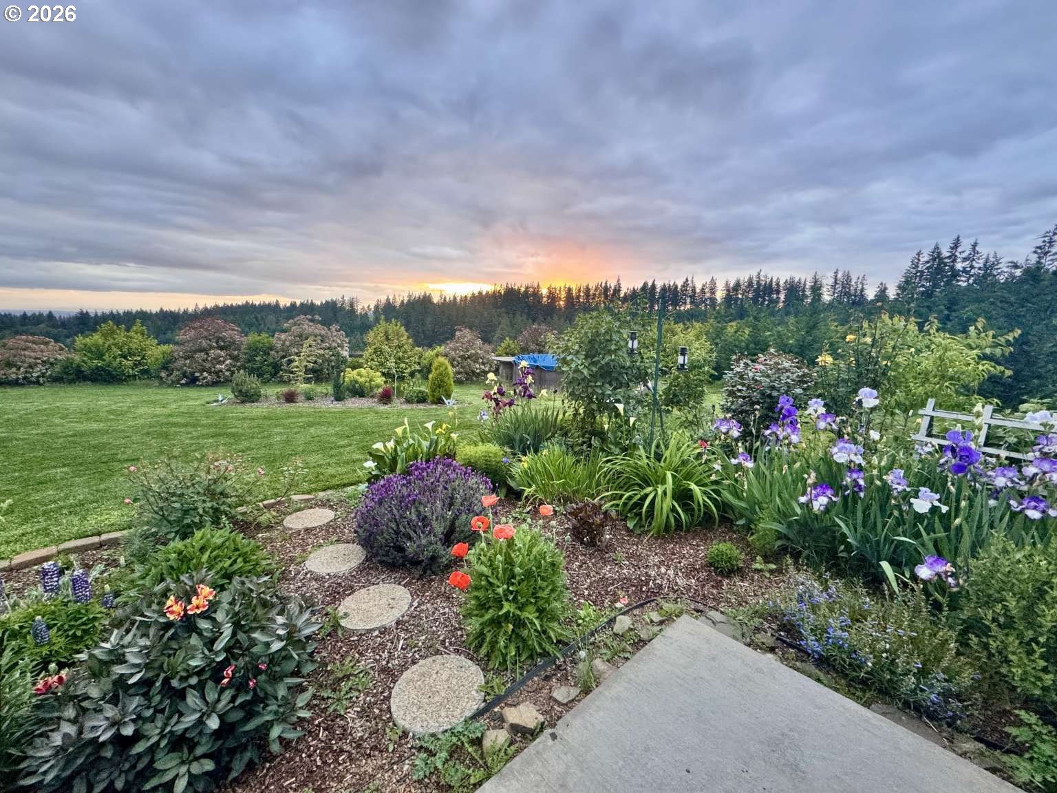 main property photo 38