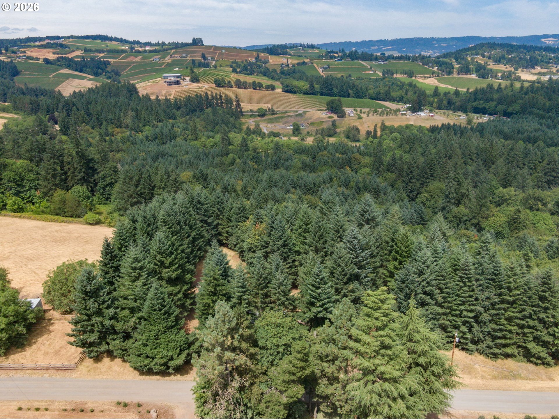 main property photo 28