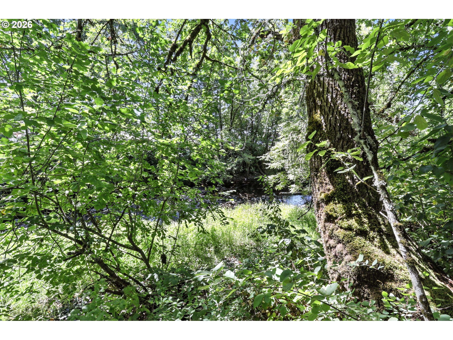 property viewer photo 37