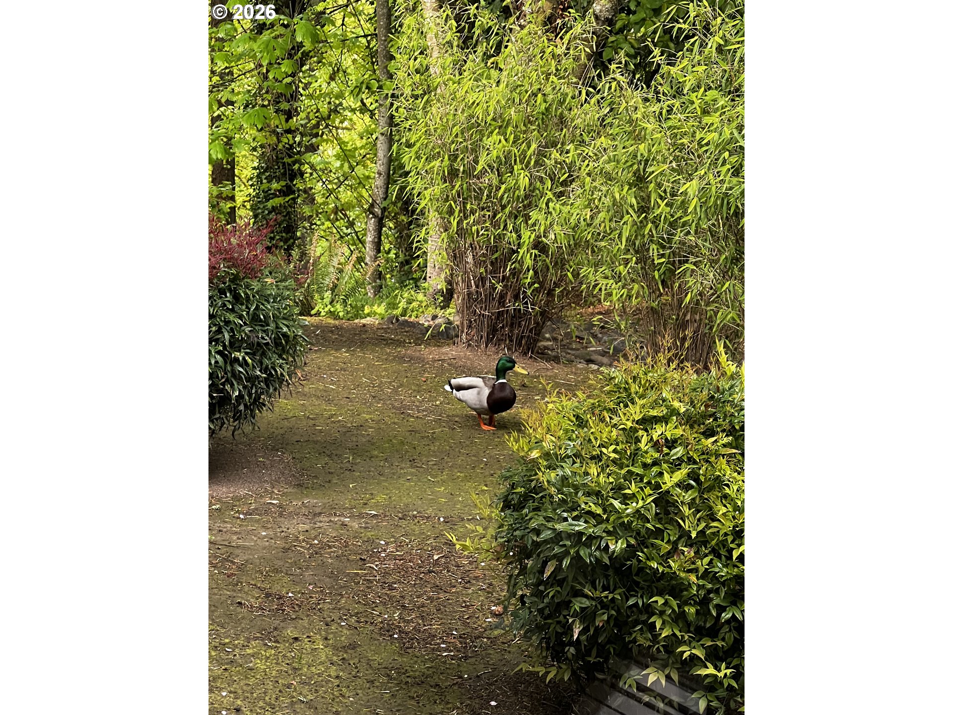 main property photo 29