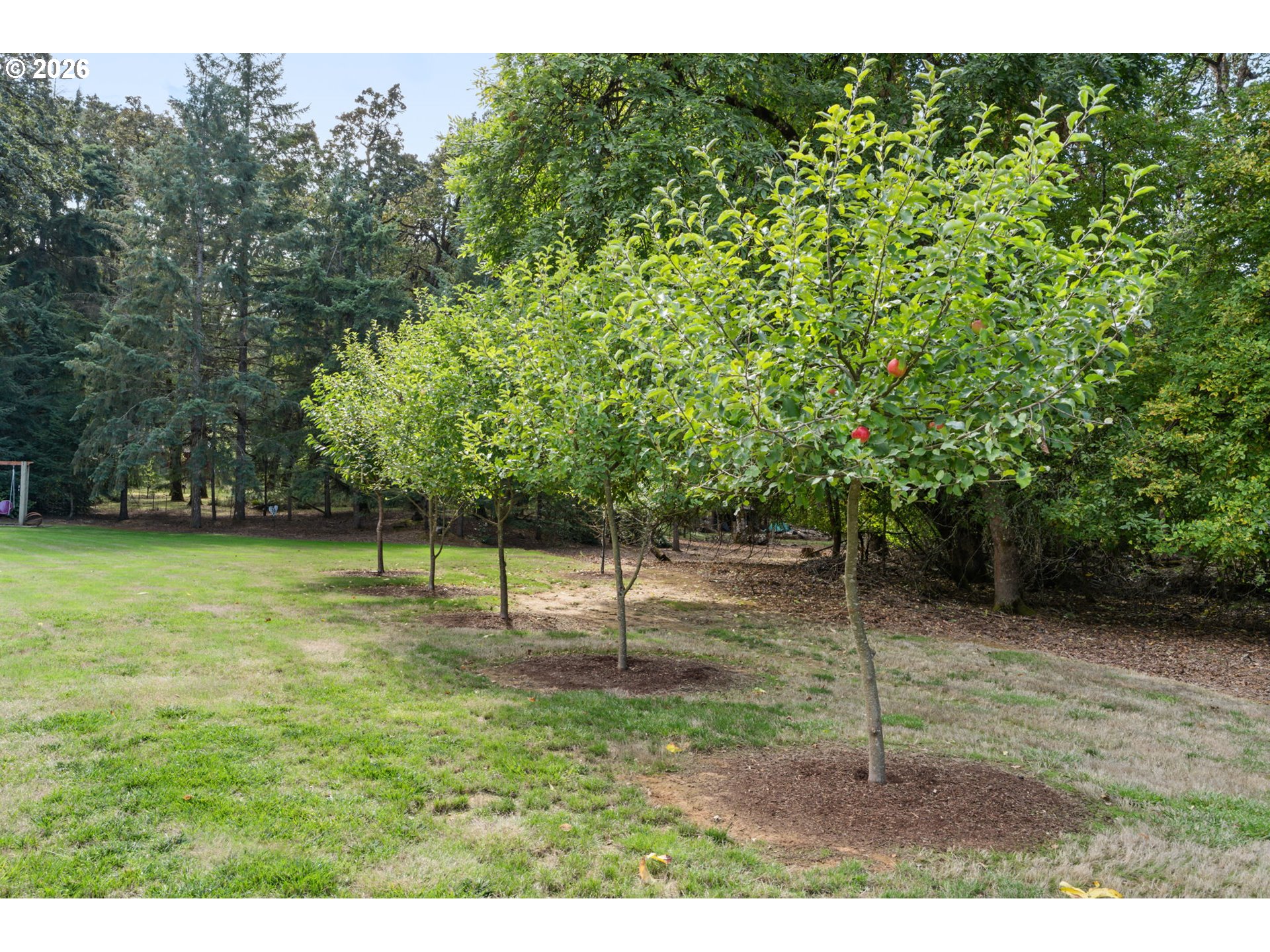 main property photo 33