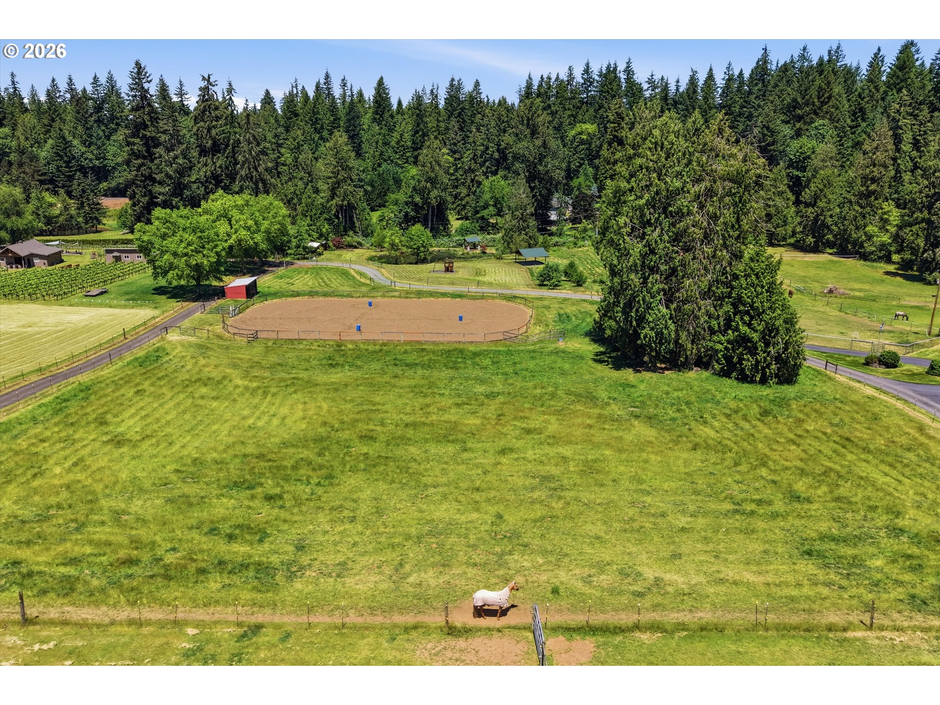 main property photo 39