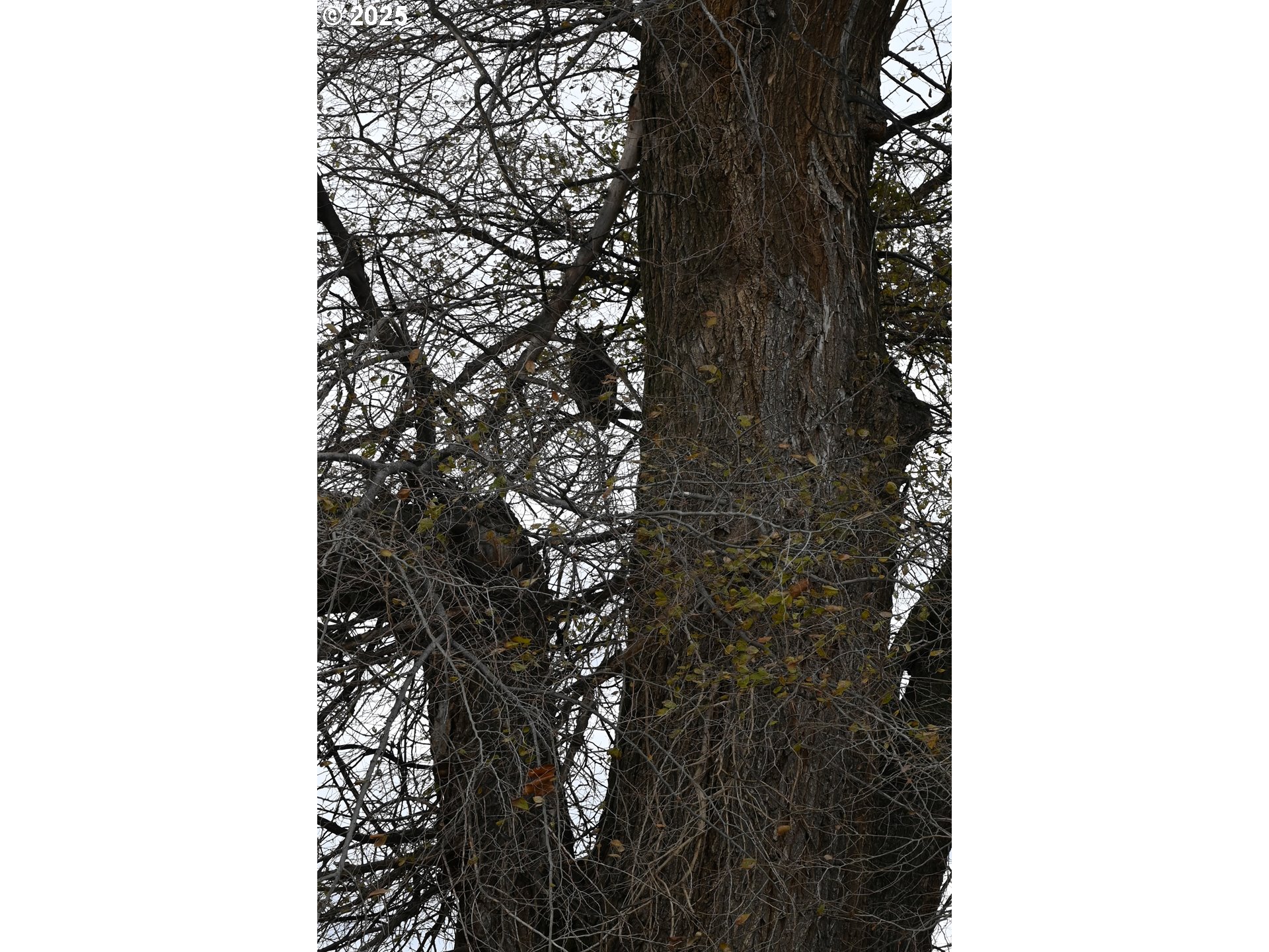 property viewer photo 31