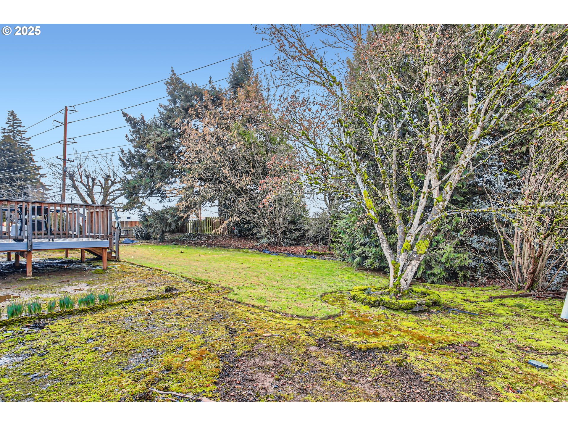 property viewer photo 5