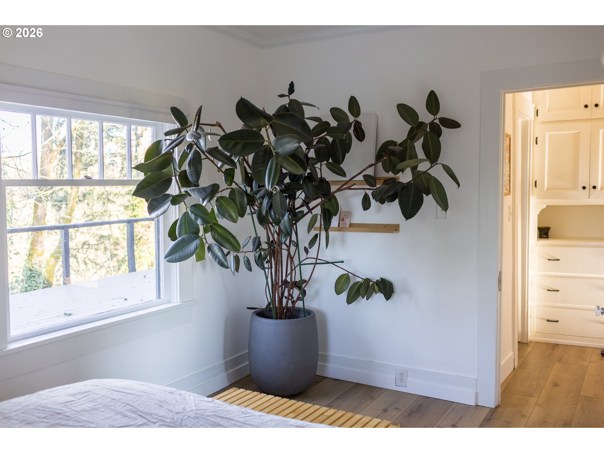 property viewer photo 18