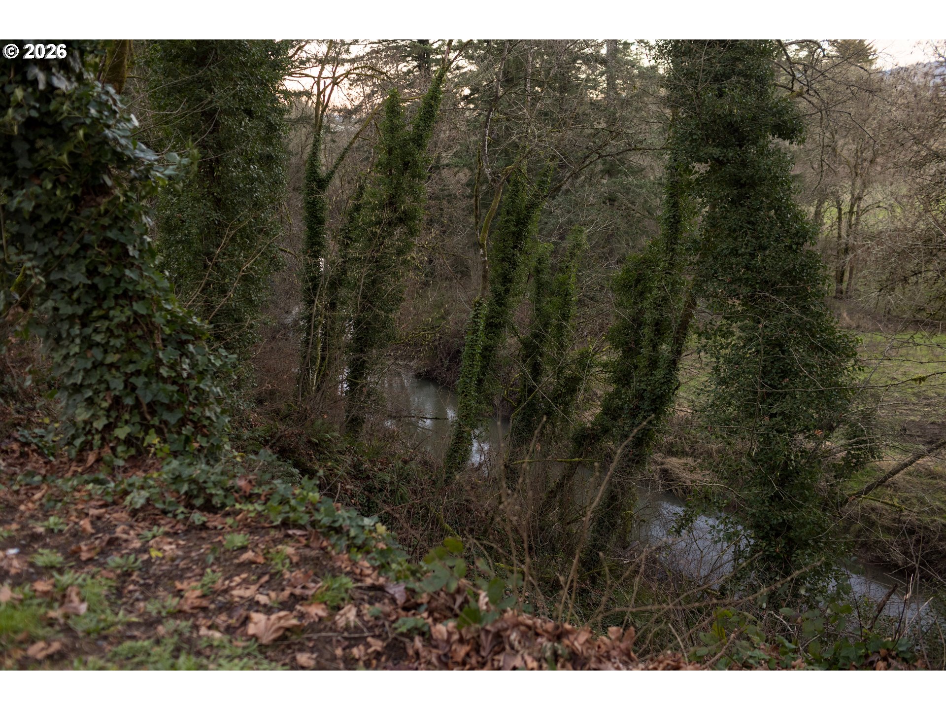 property viewer photo 36