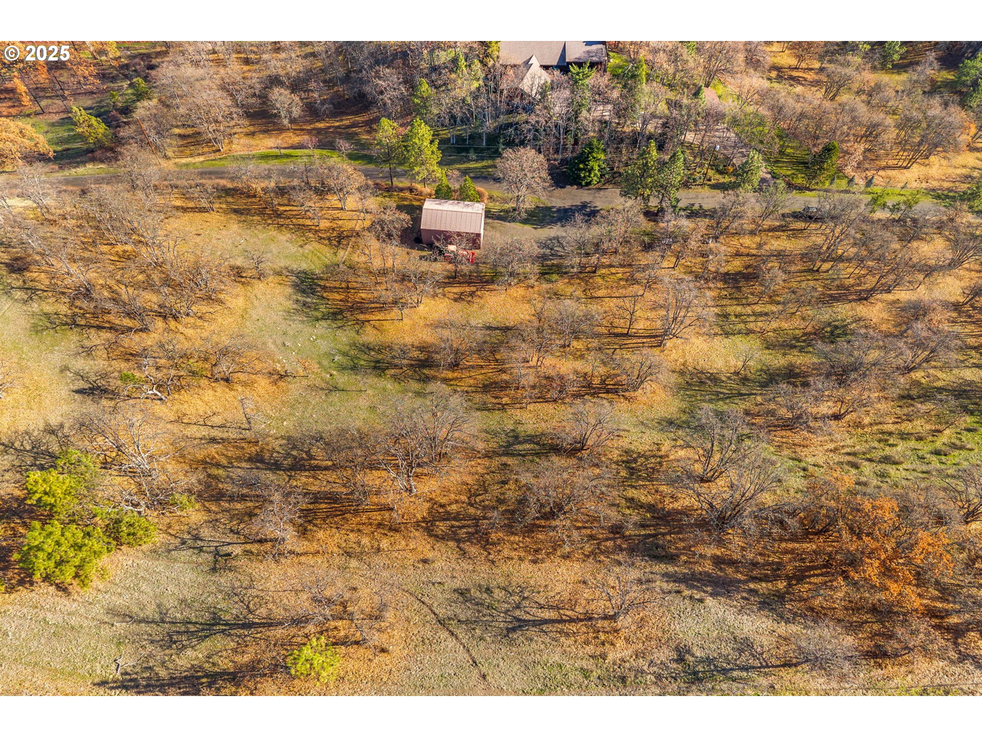main property photo 42