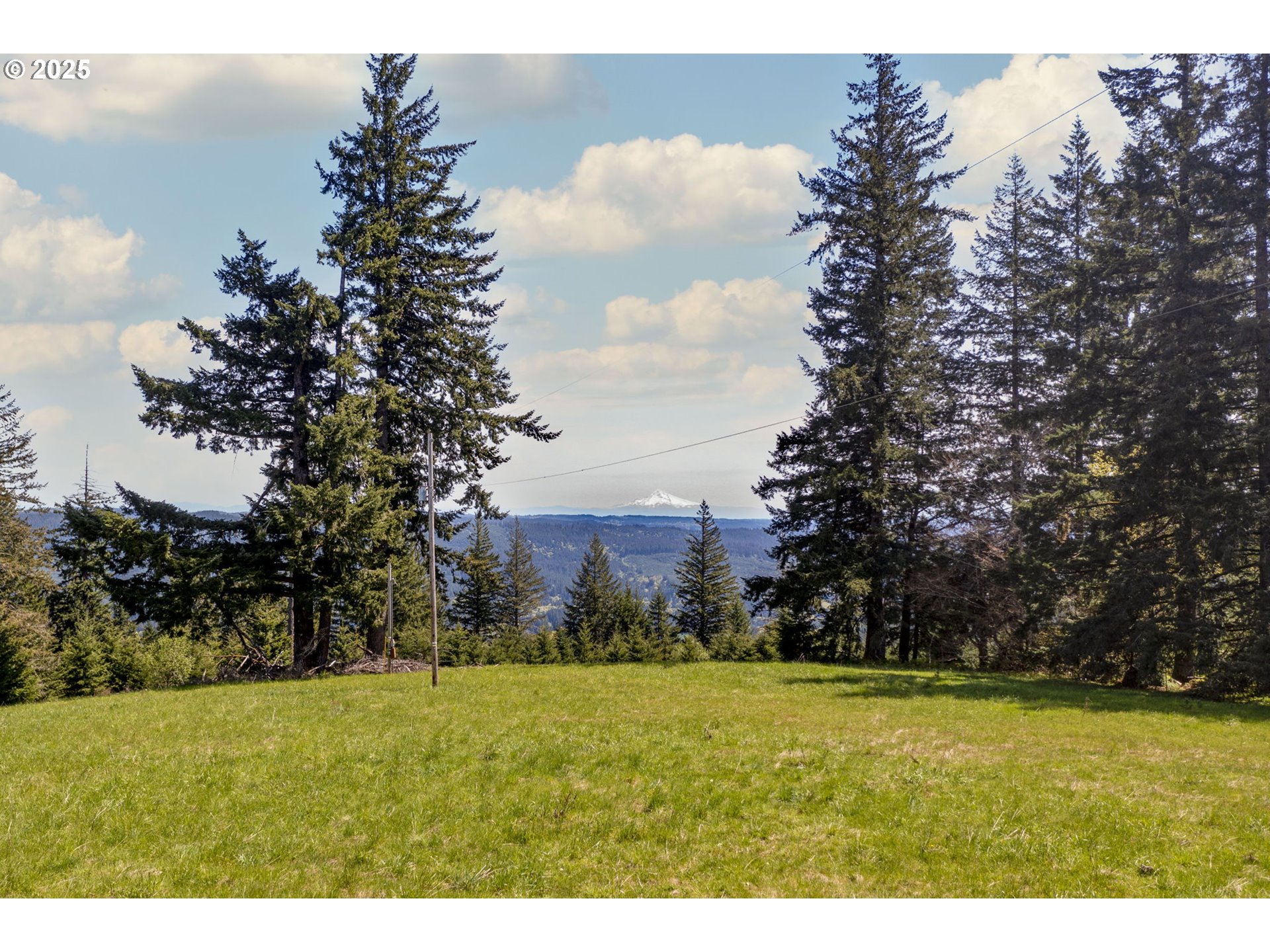 property viewer photo 3