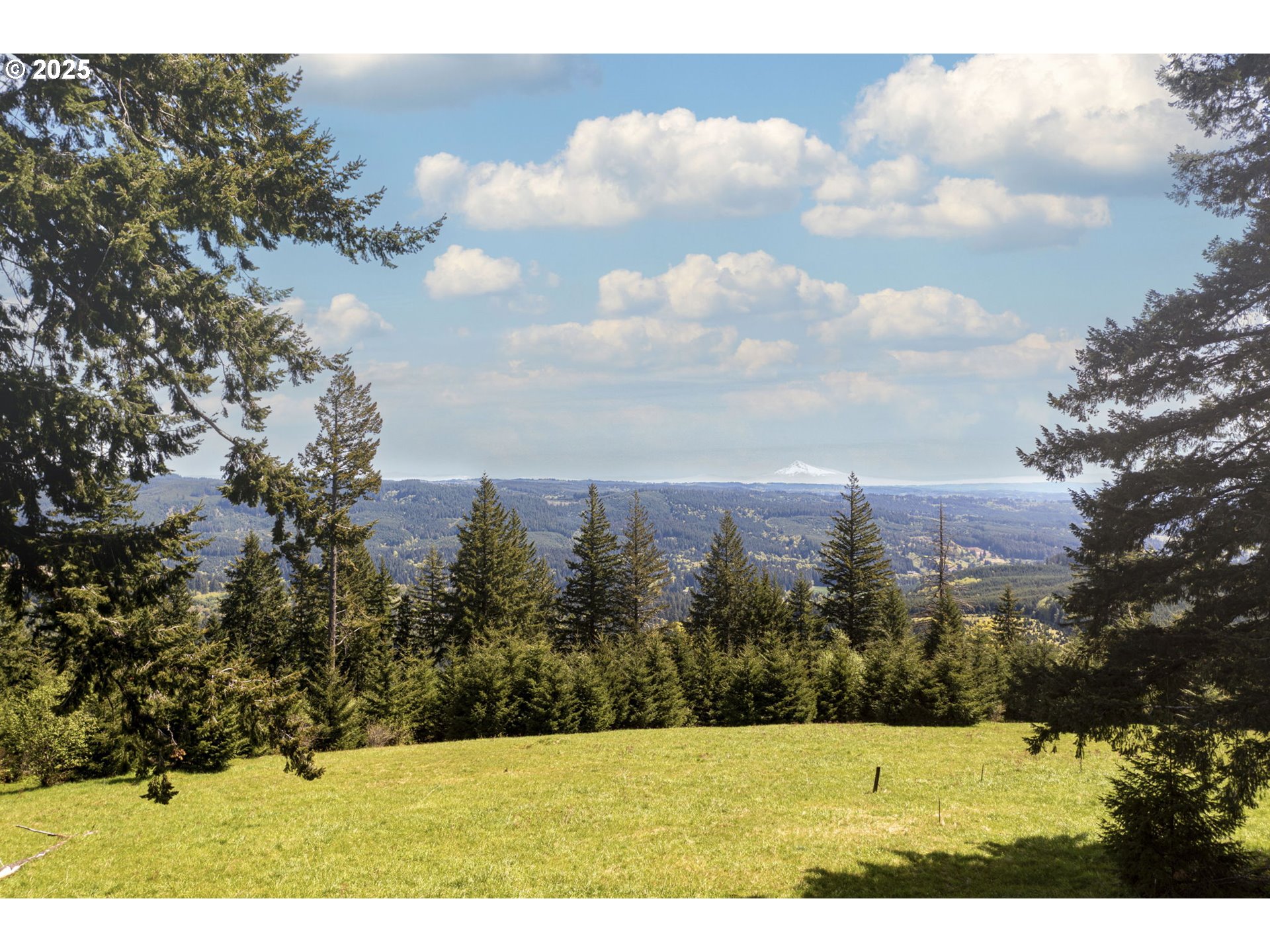 property viewer photo 4