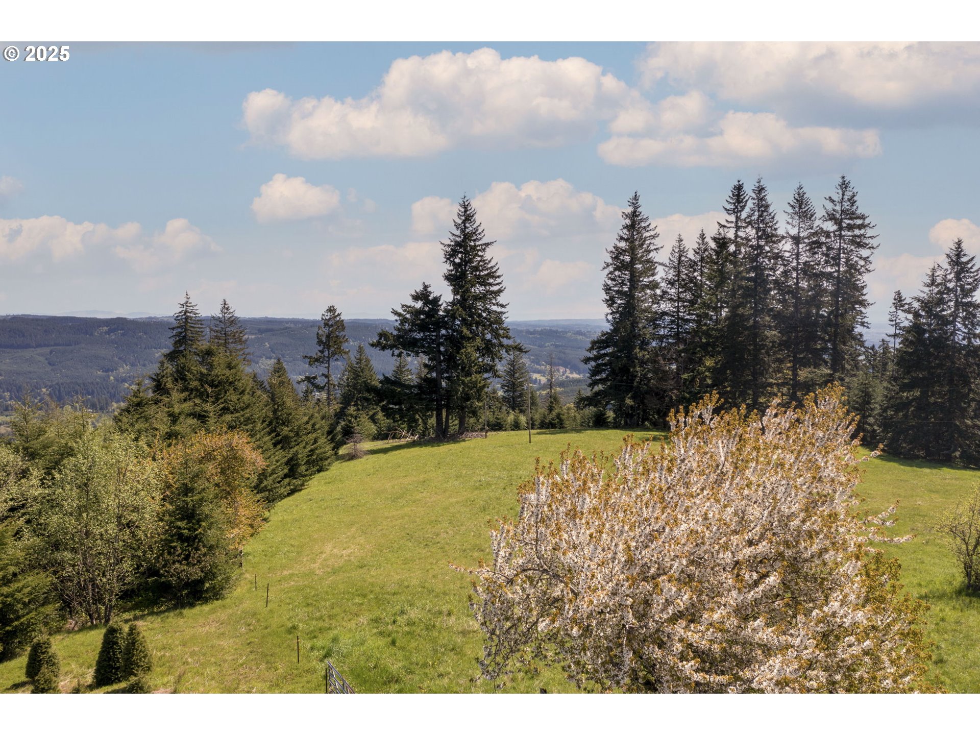 property viewer photo 5