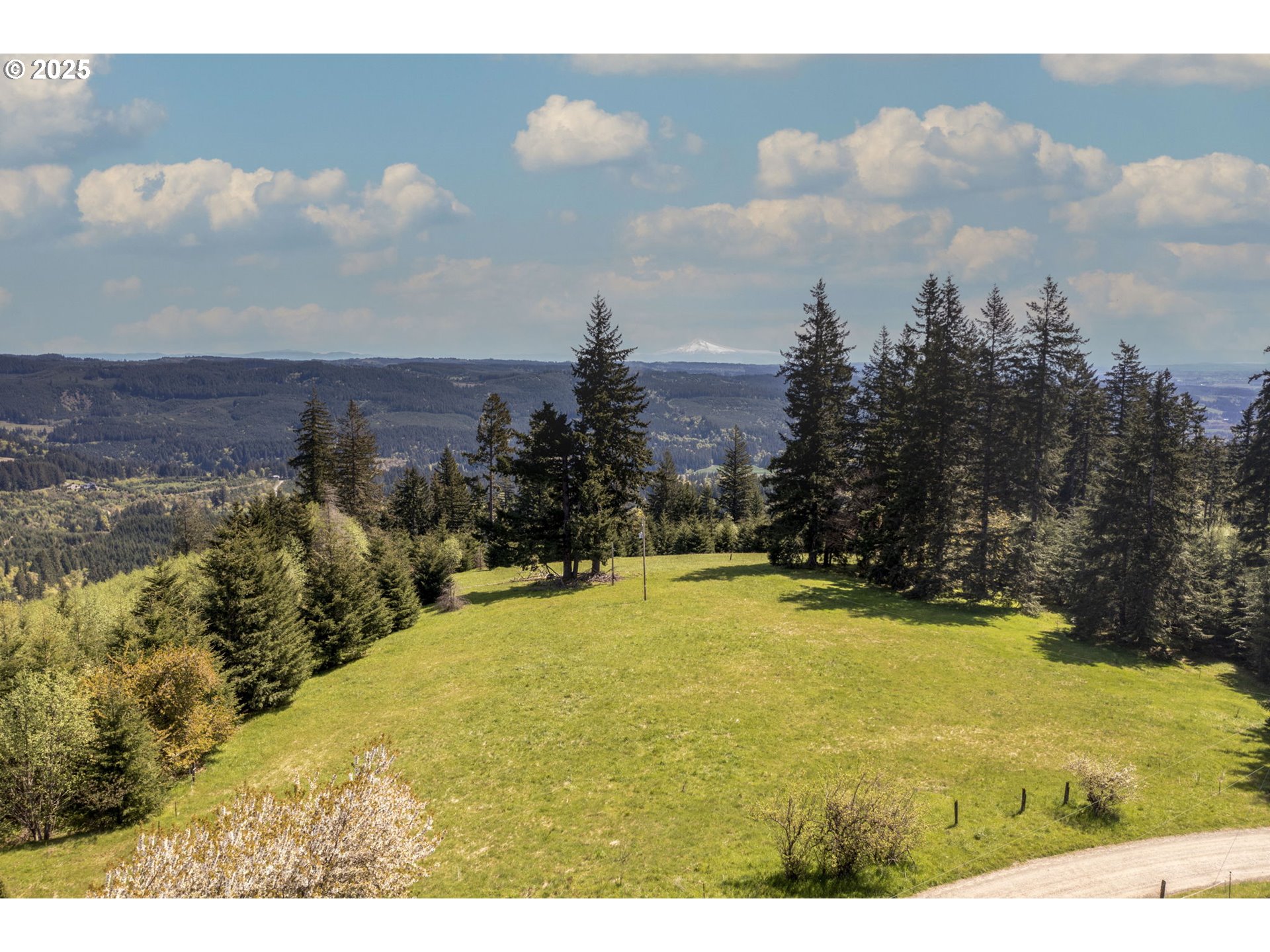 property viewer photo 6