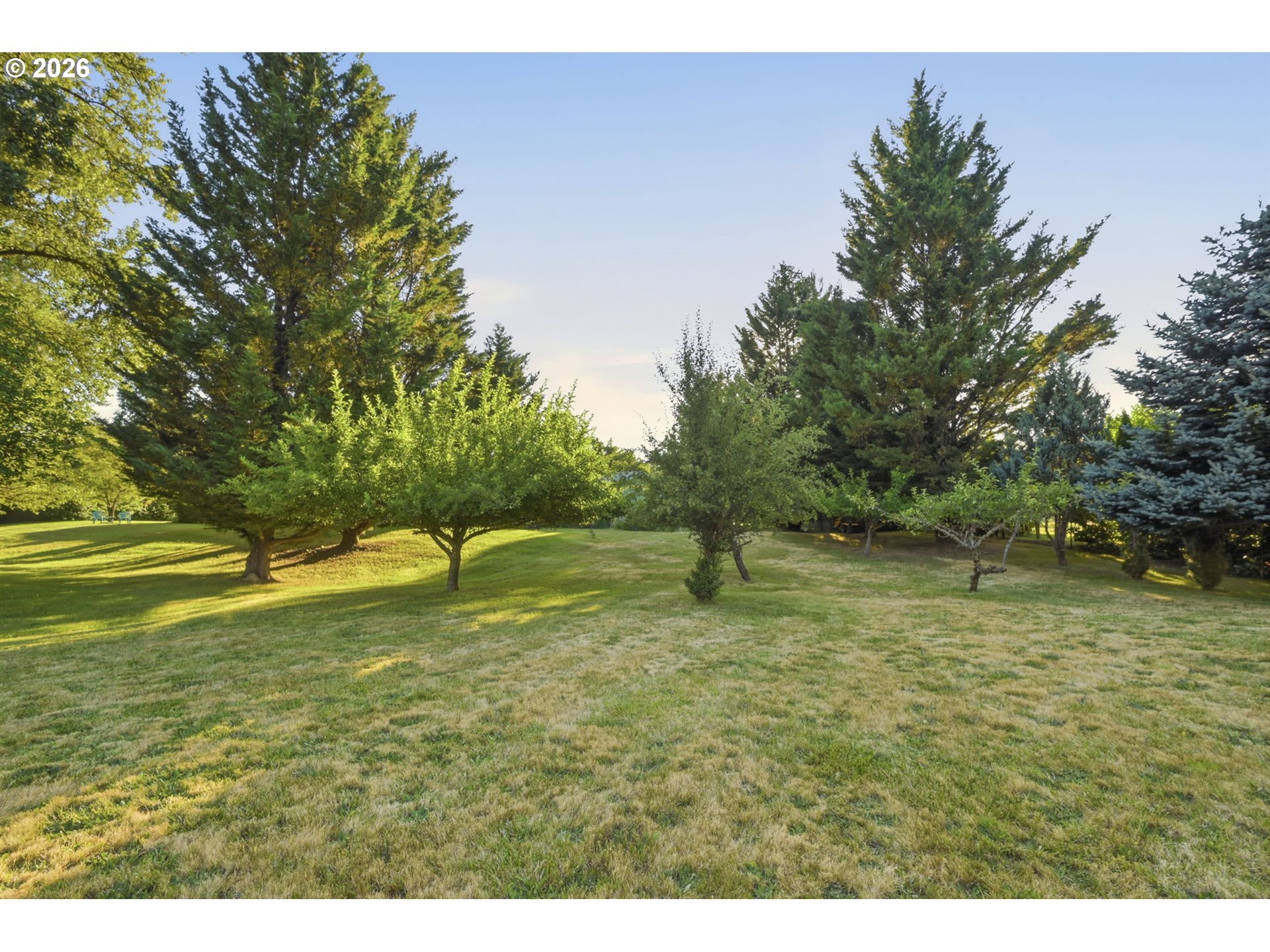 main property photo 43