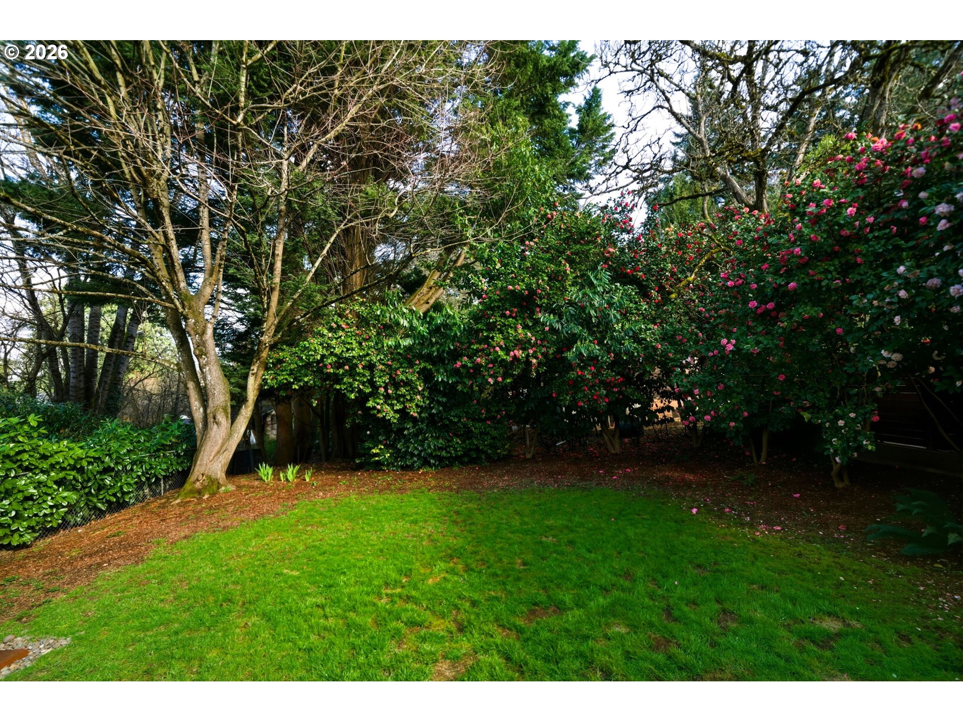 property viewer photo 32