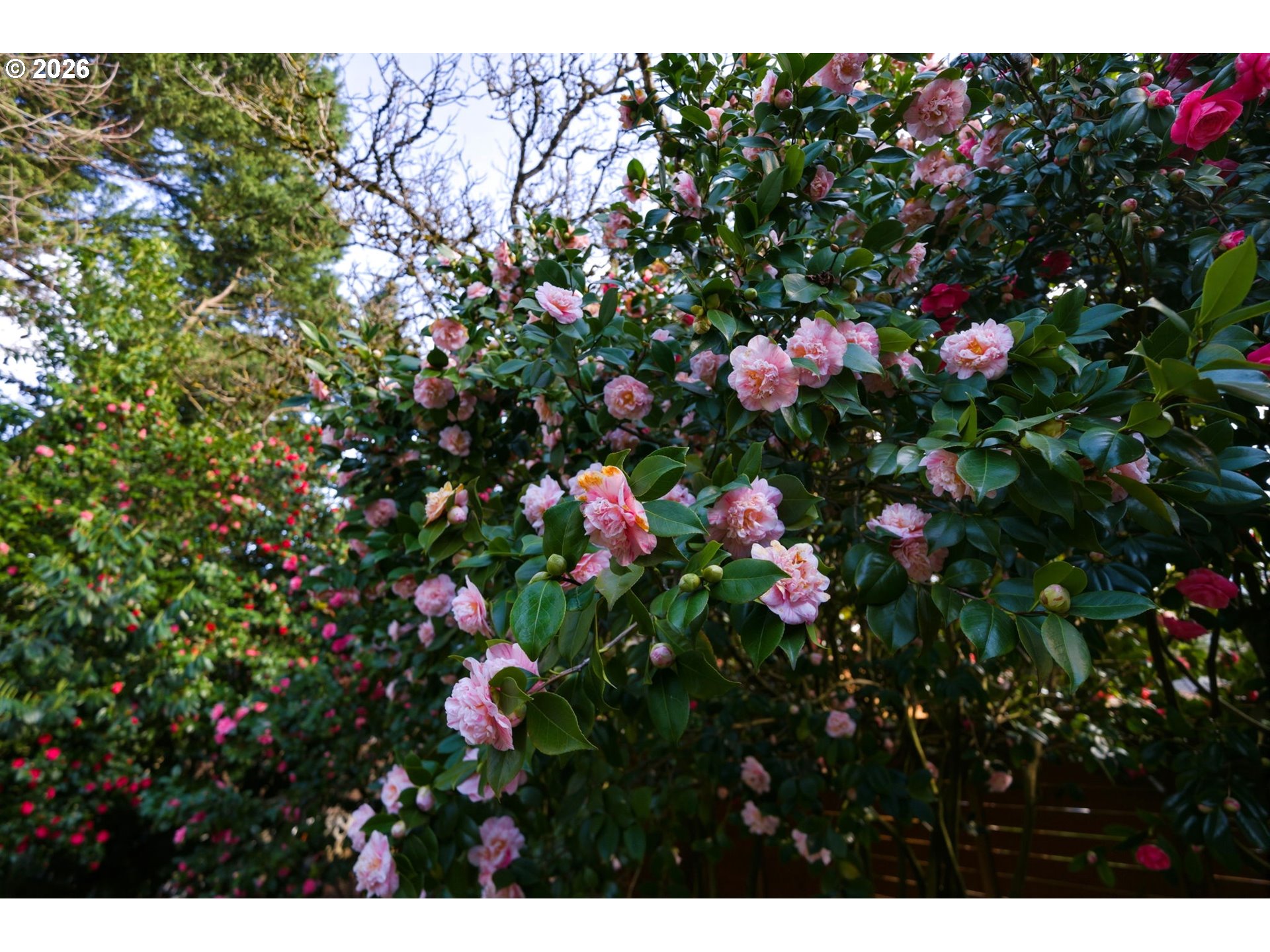 property viewer photo 34