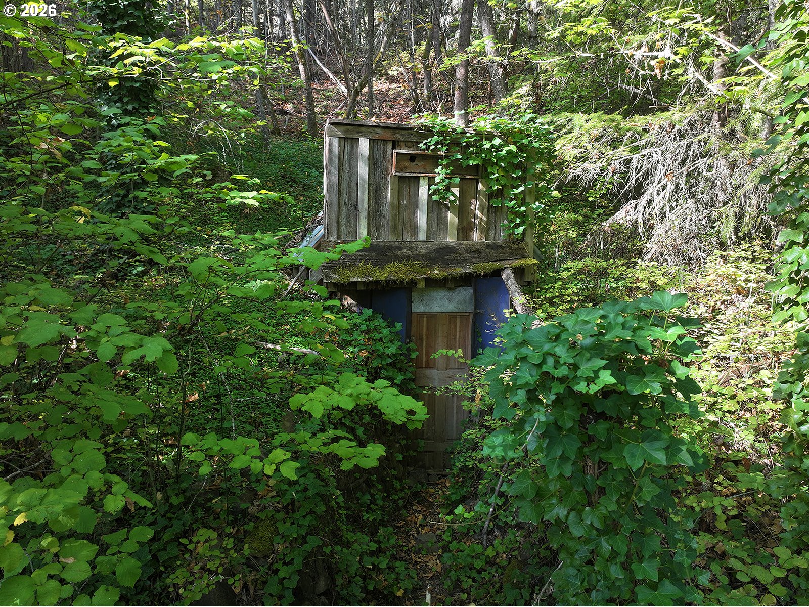 main property photo 35
