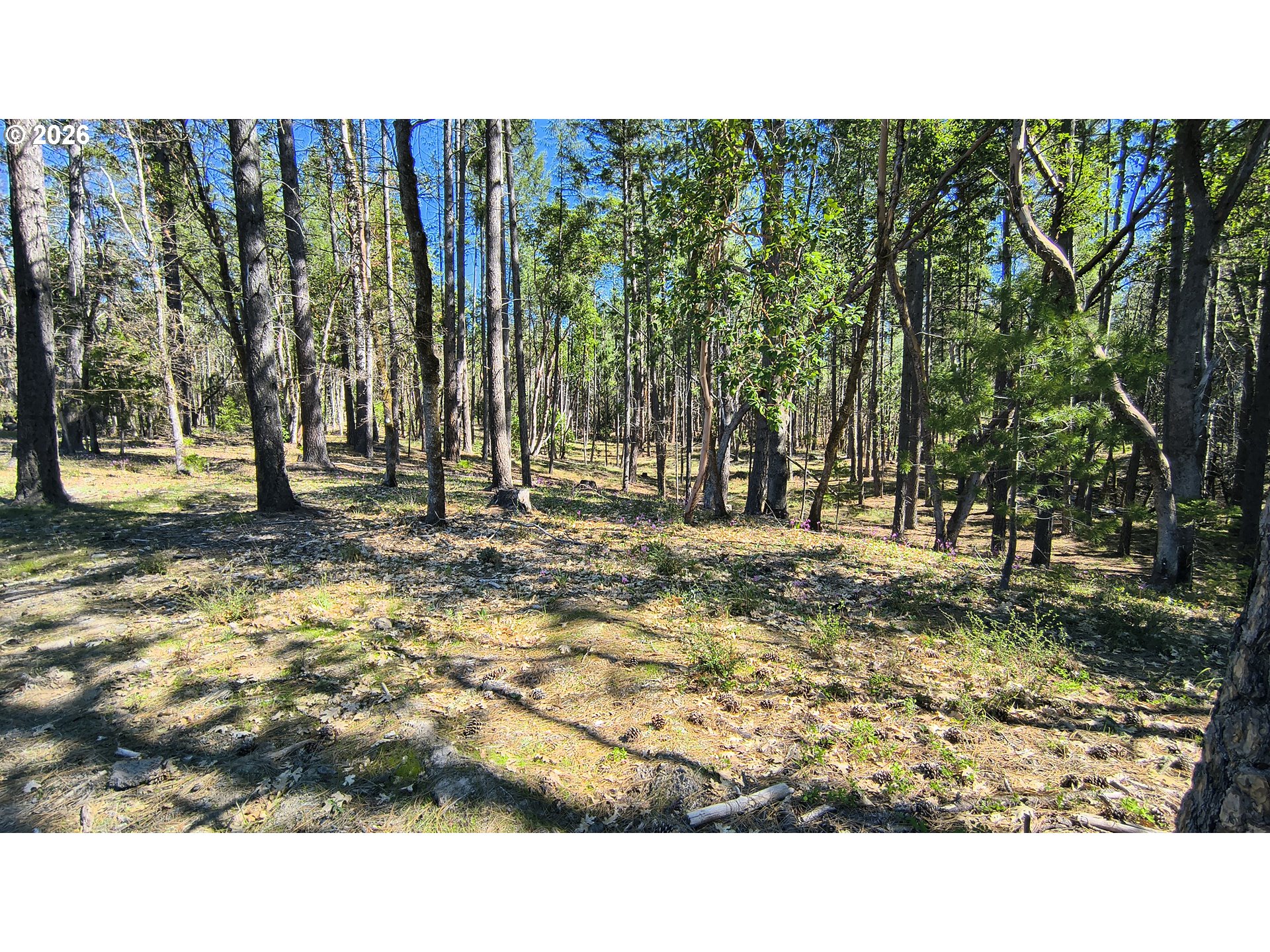main property photo 31