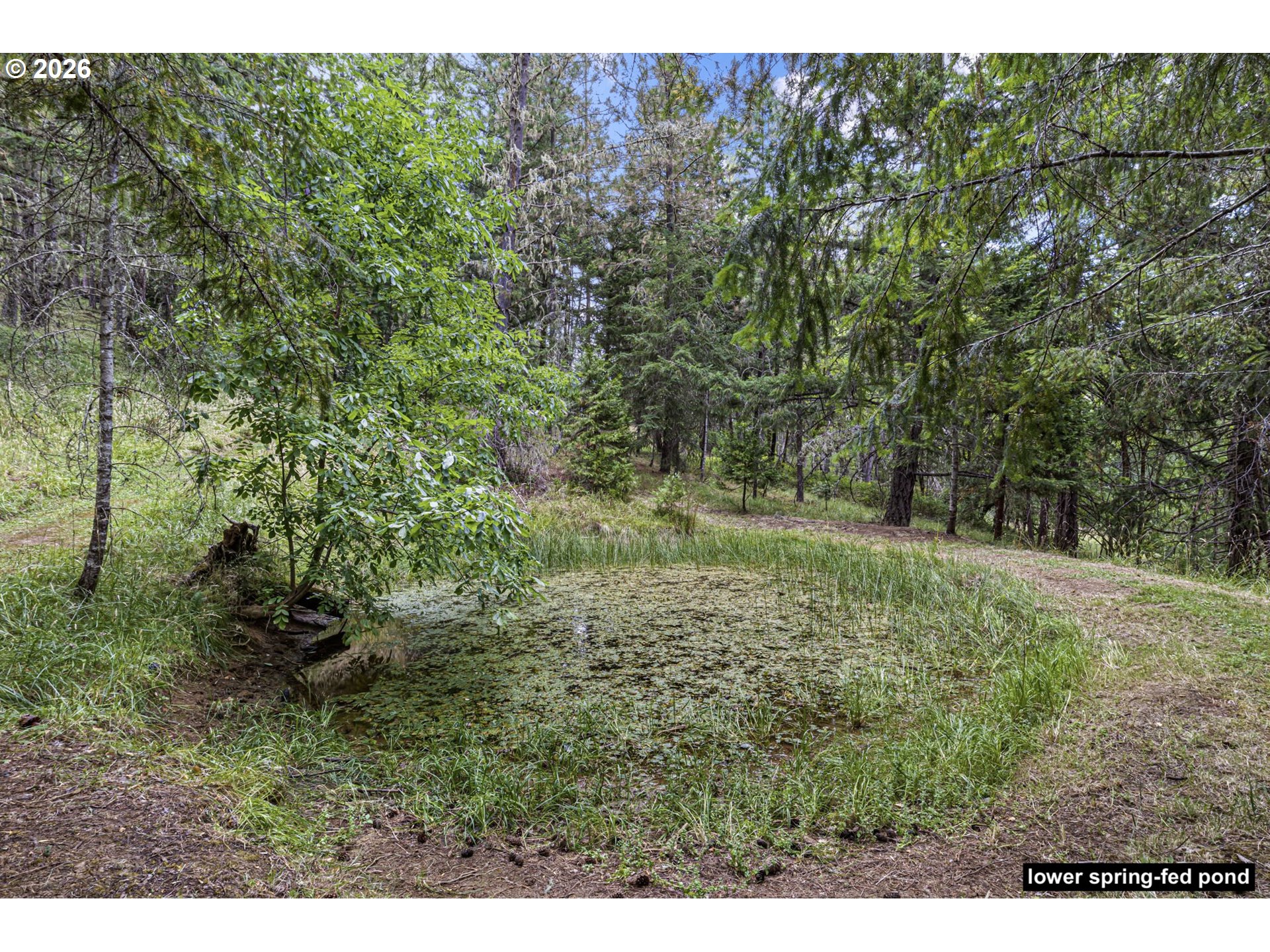 main property photo 45