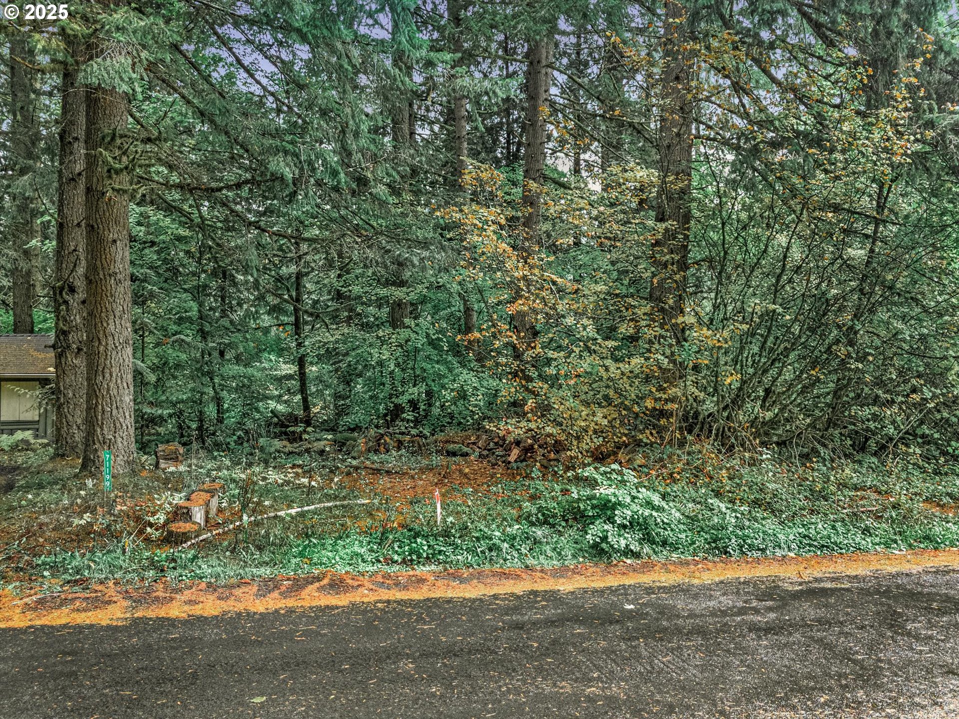 main property photo 0
