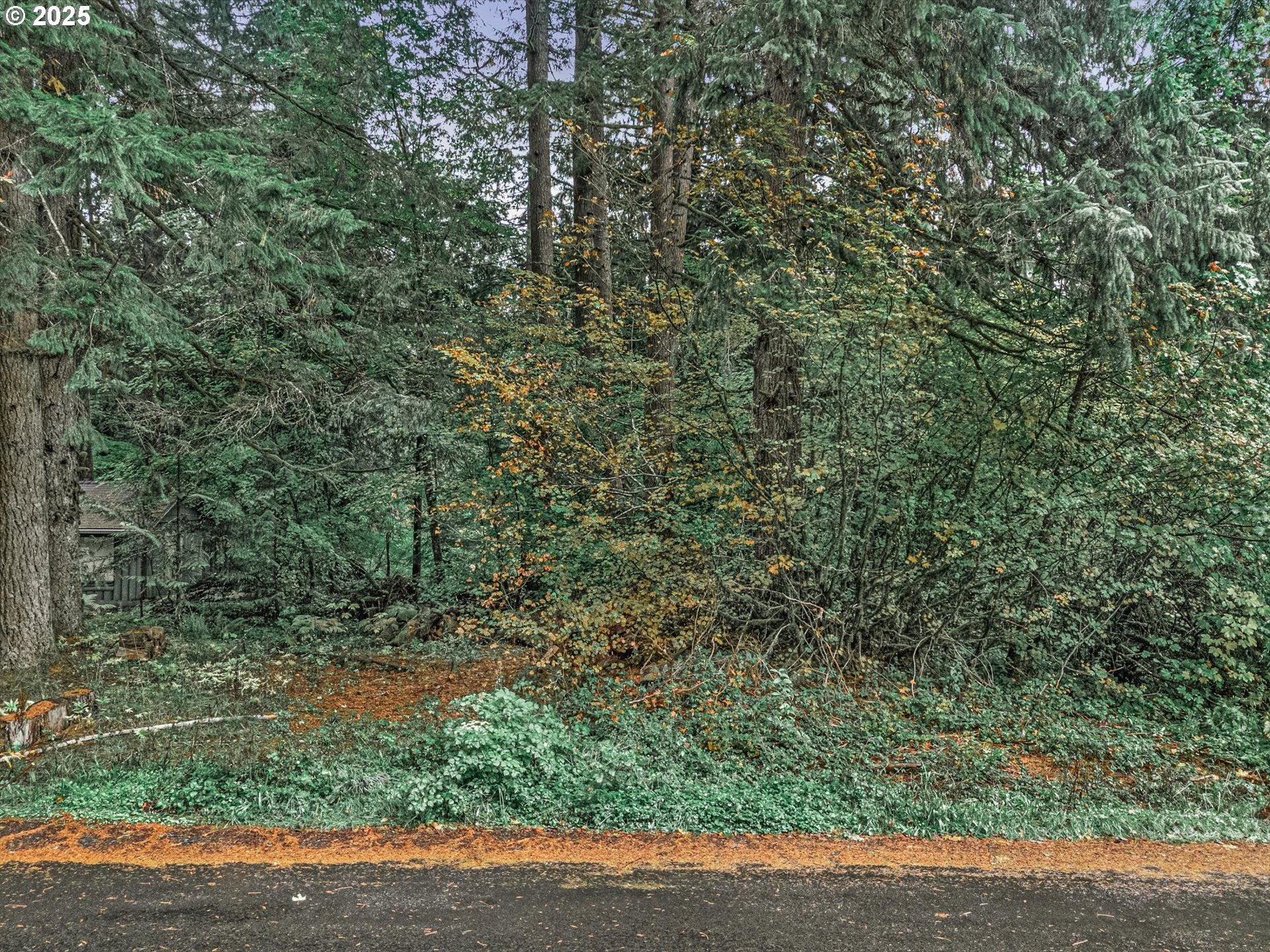 property viewer photo 1