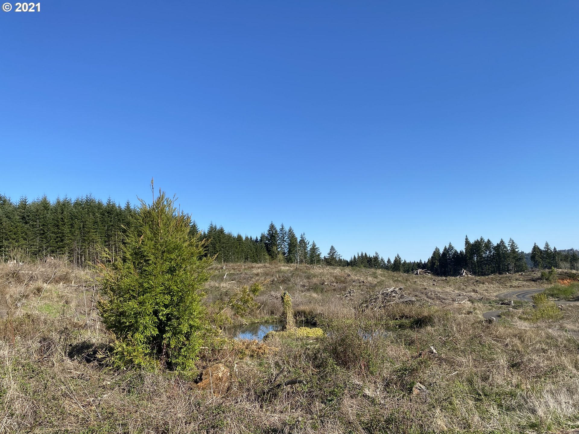 main property photo 6