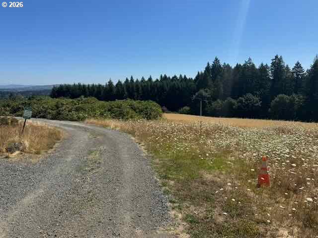 main property photo 13