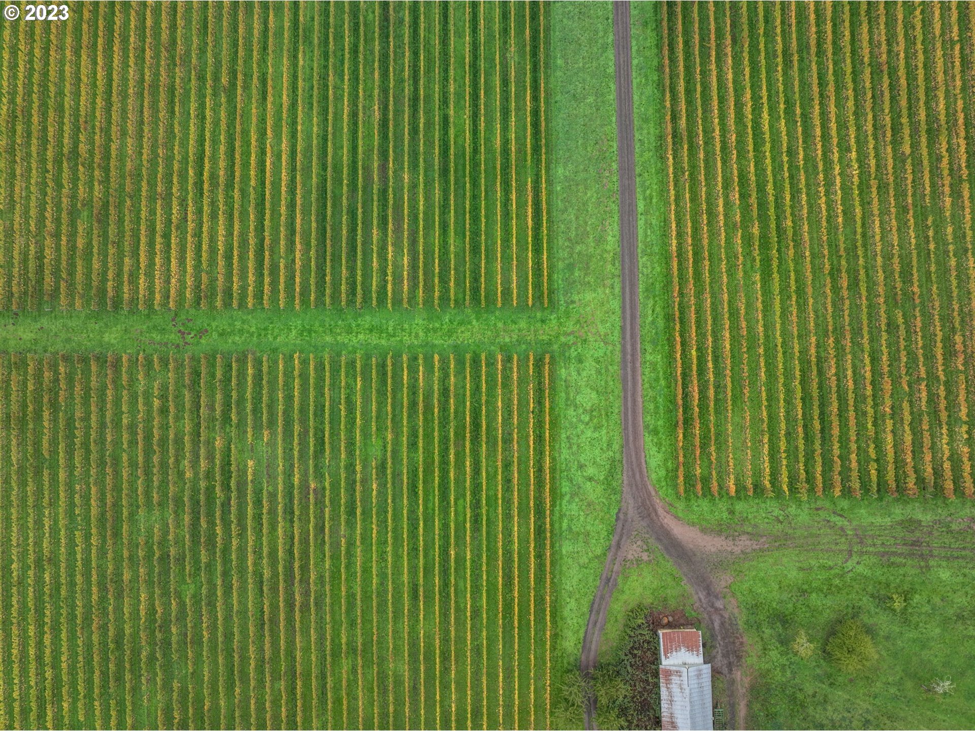 main property photo 34
