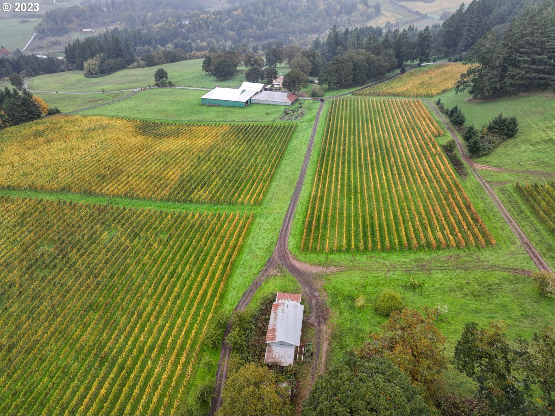 main property photo 42