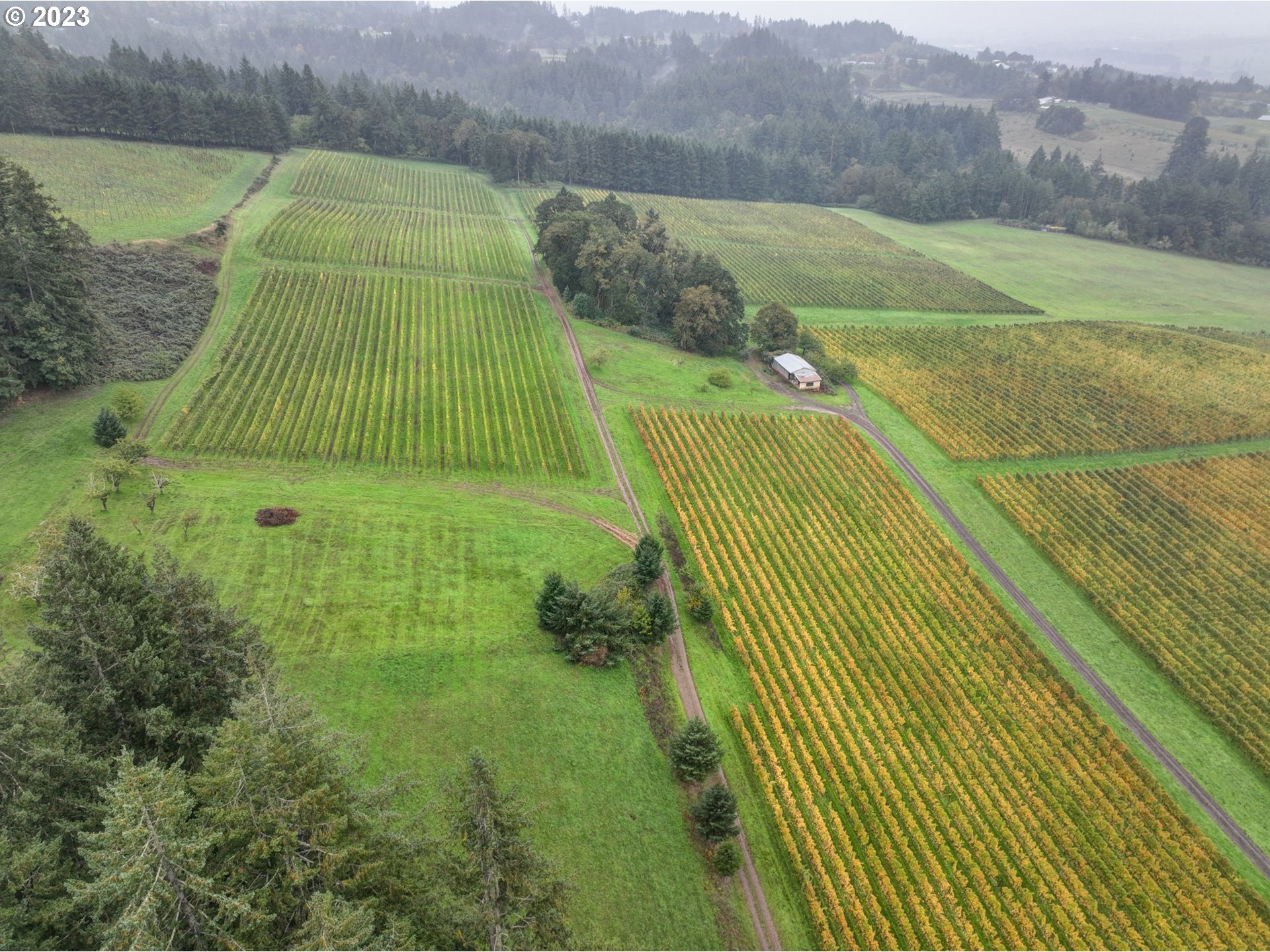 main property photo 45
