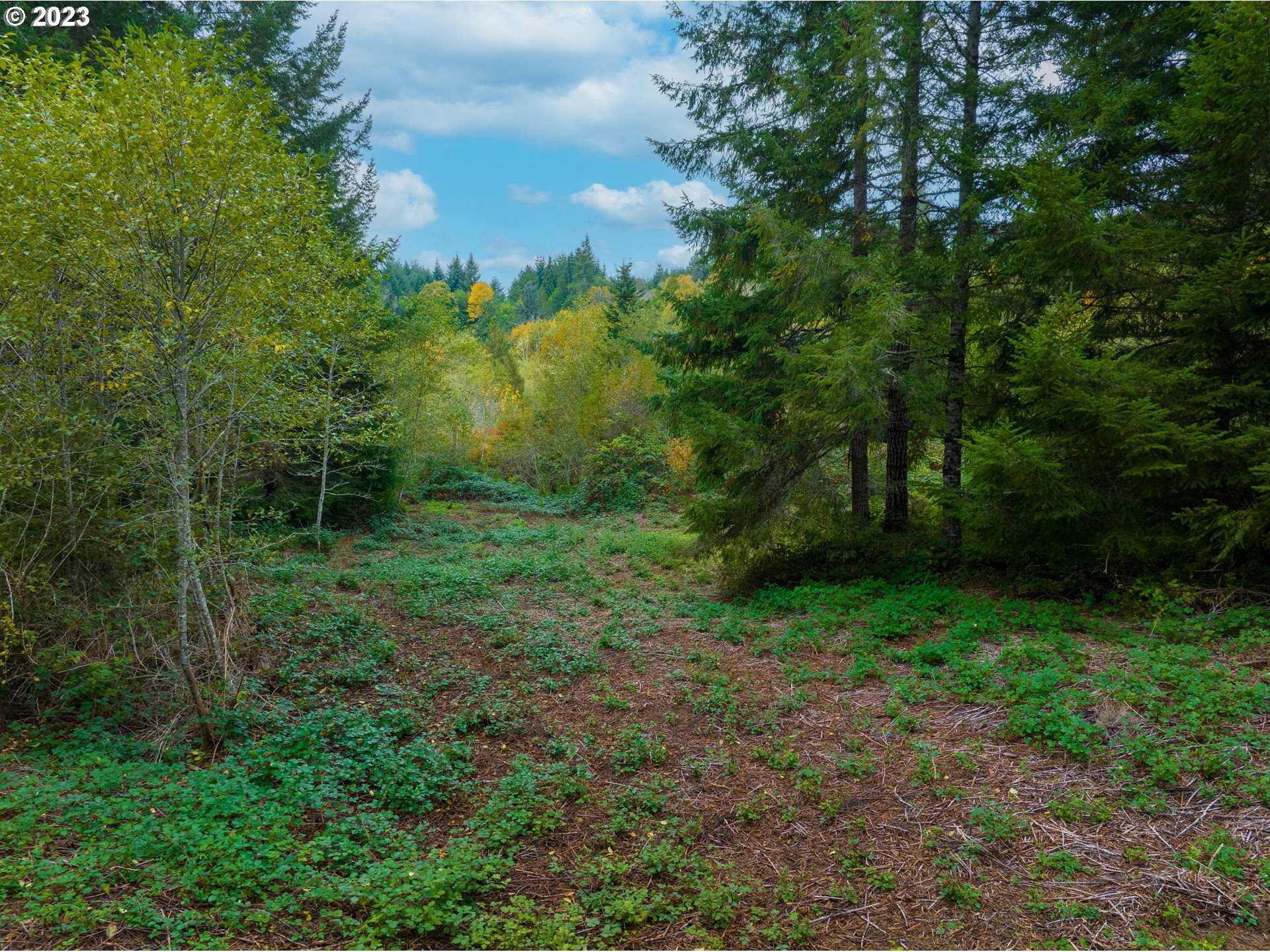 main property photo 9