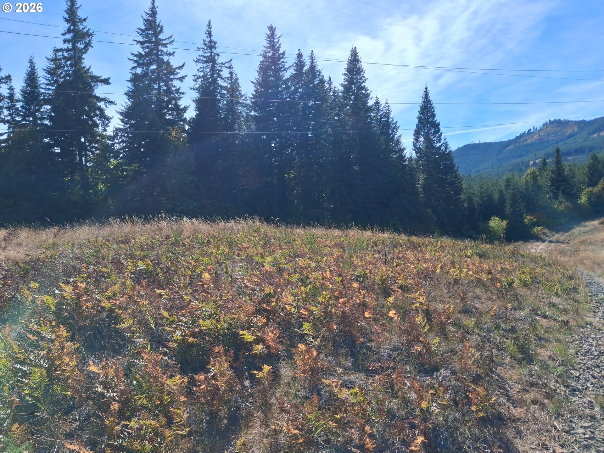 main property photo 20