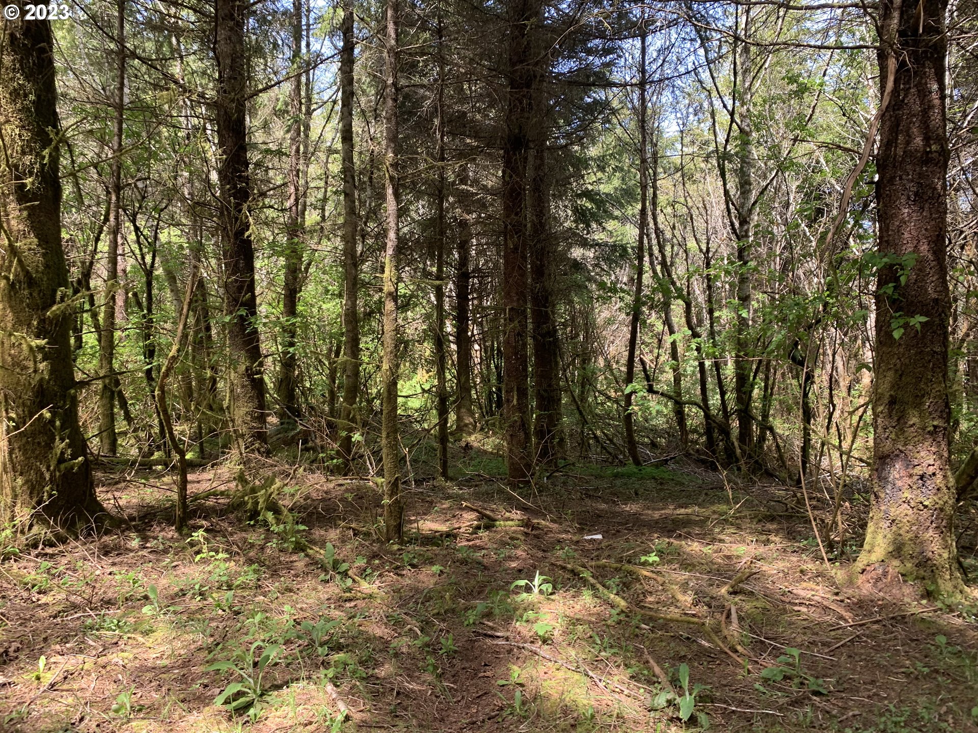 main property photo 12