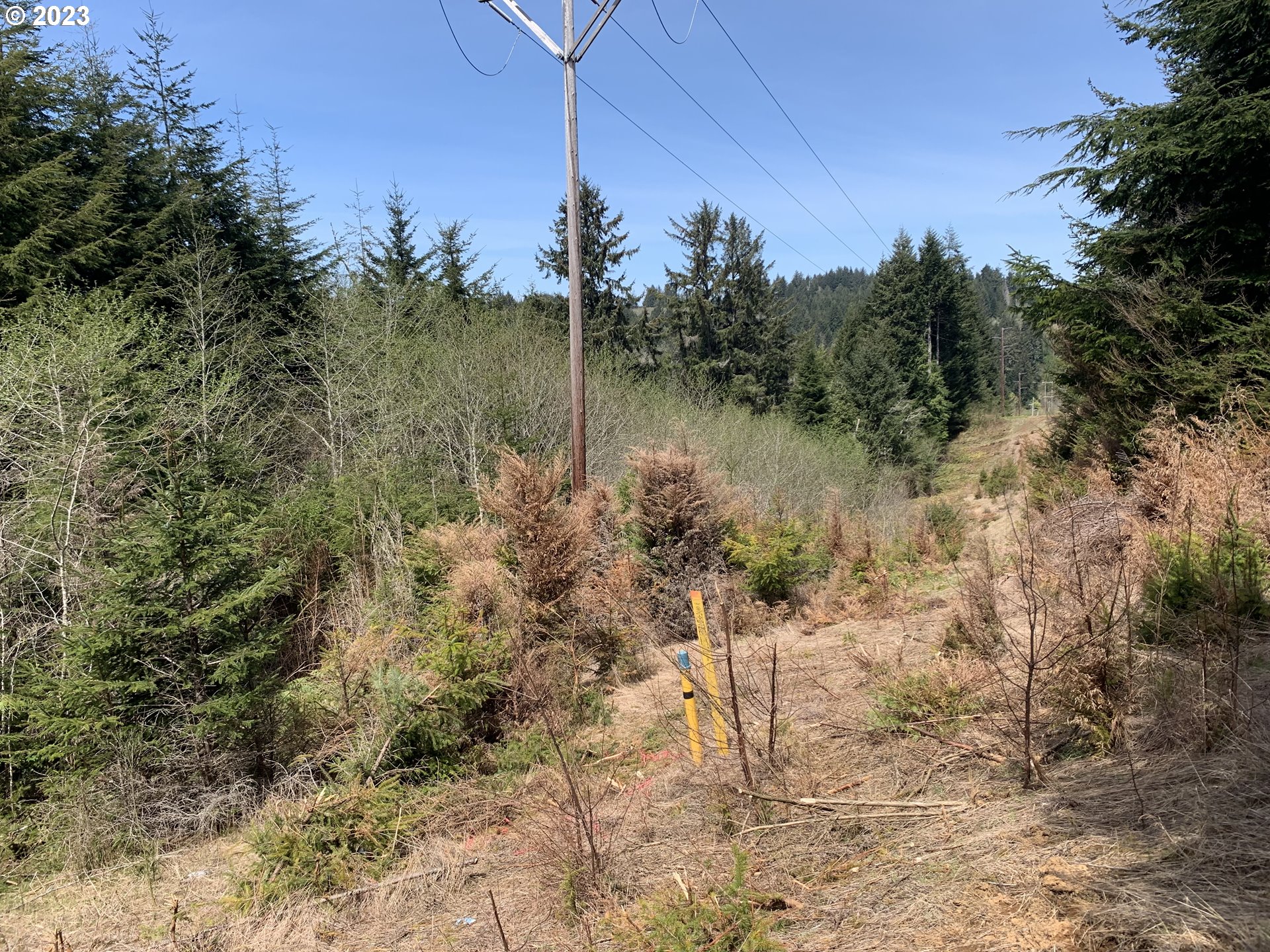 main property photo 18