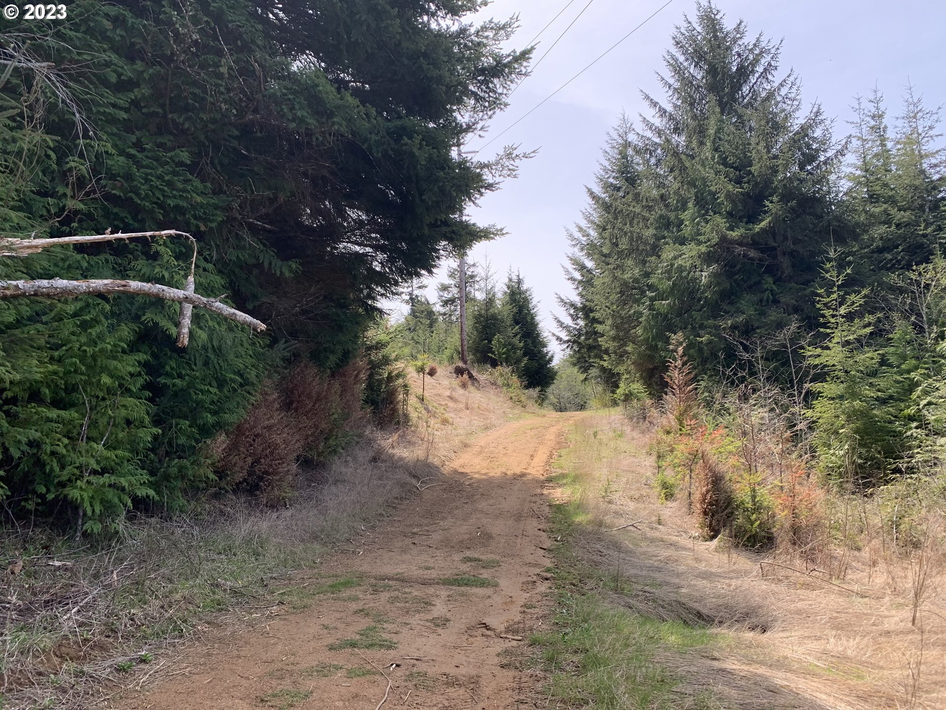 main property photo 19