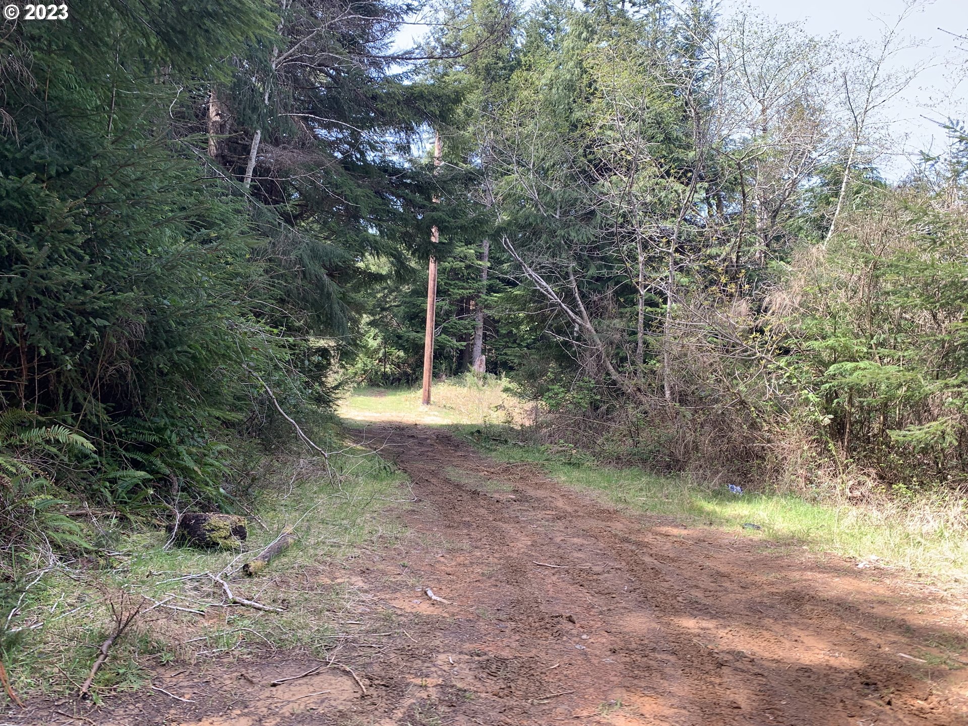 main property photo 20
