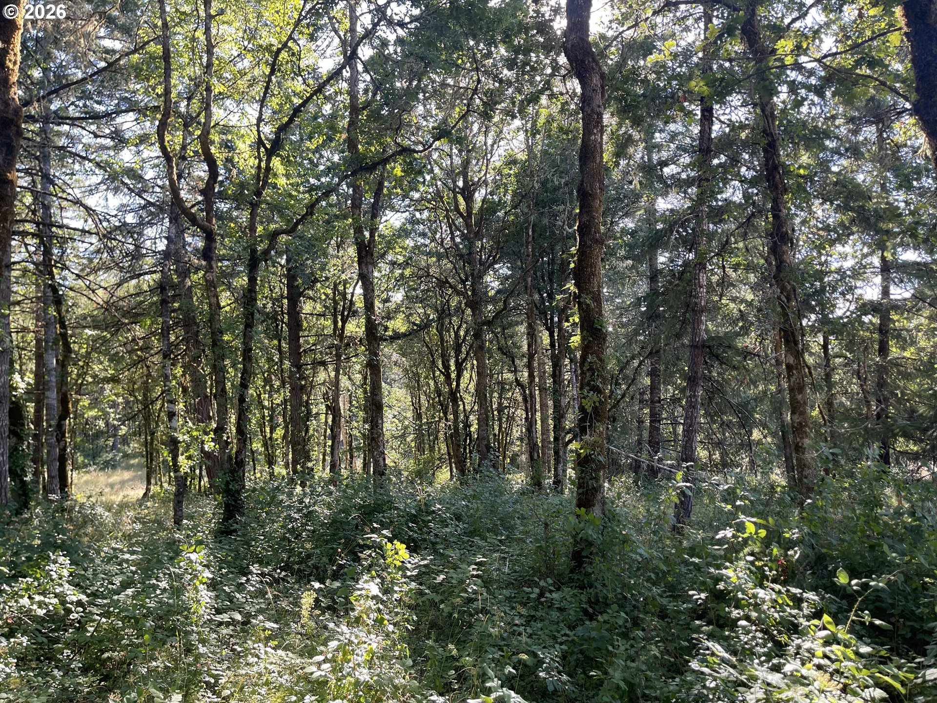 main property photo 38