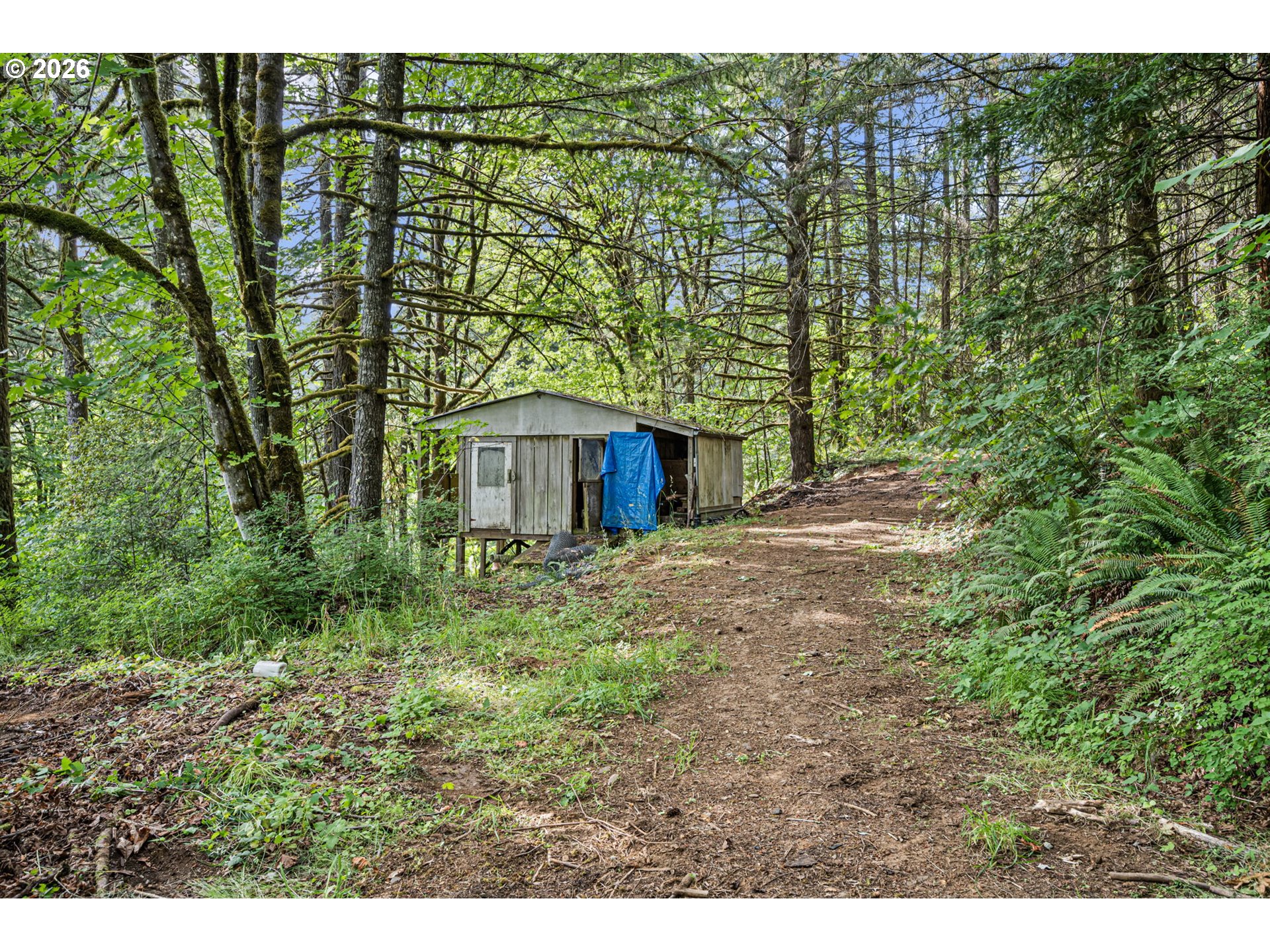 main property photo 38