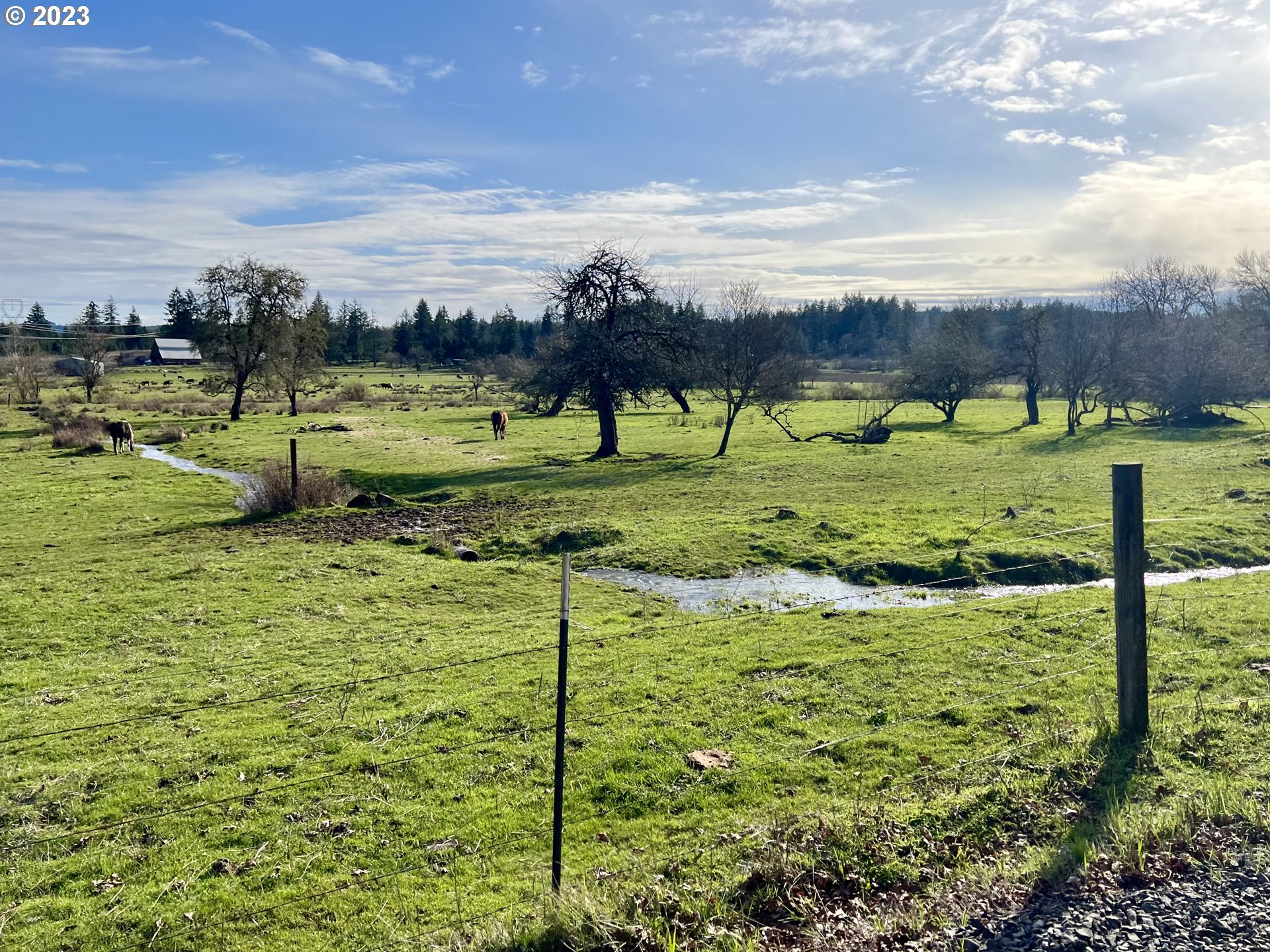 main property photo 45