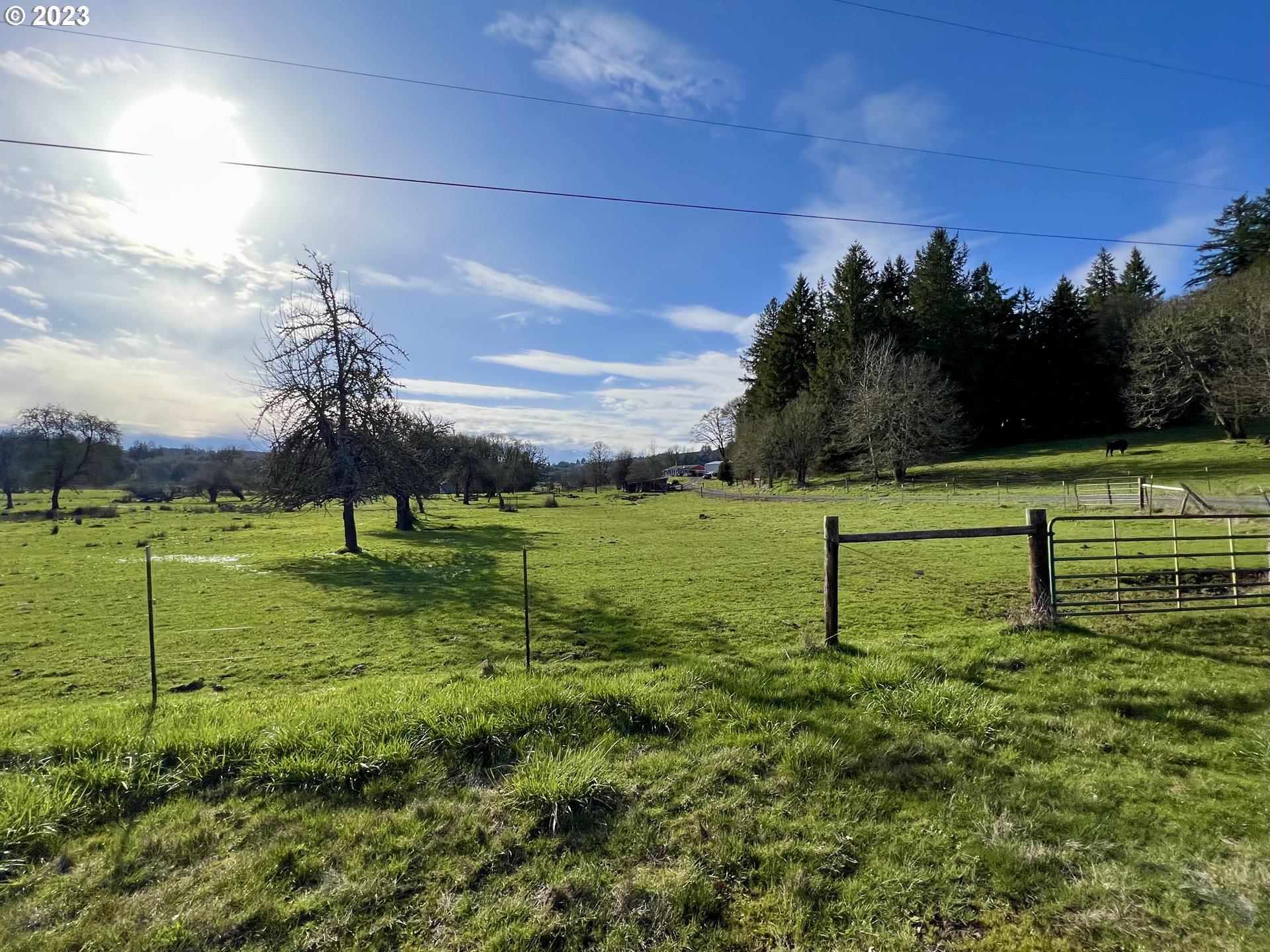 main property photo 46