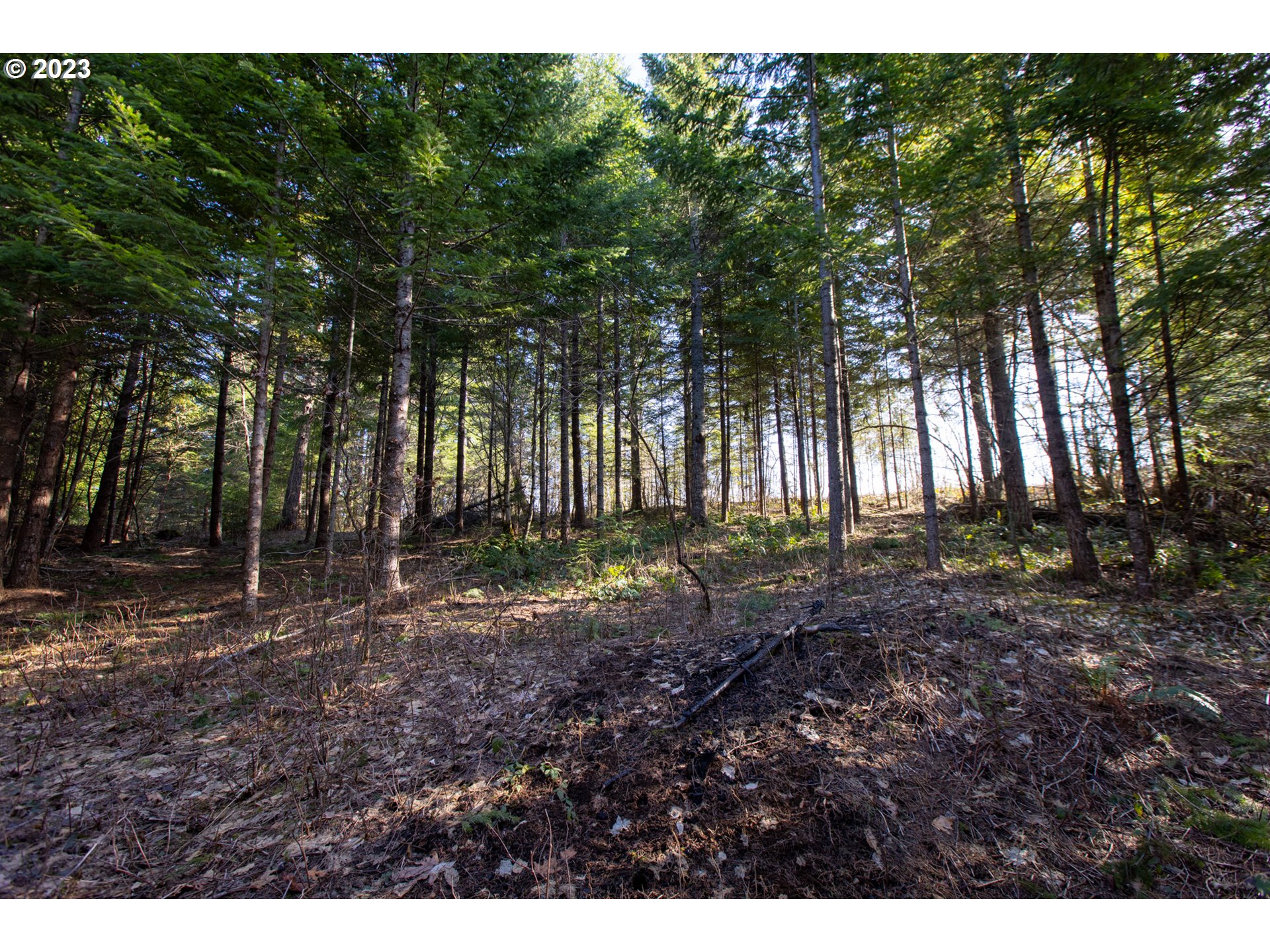 main property photo 11