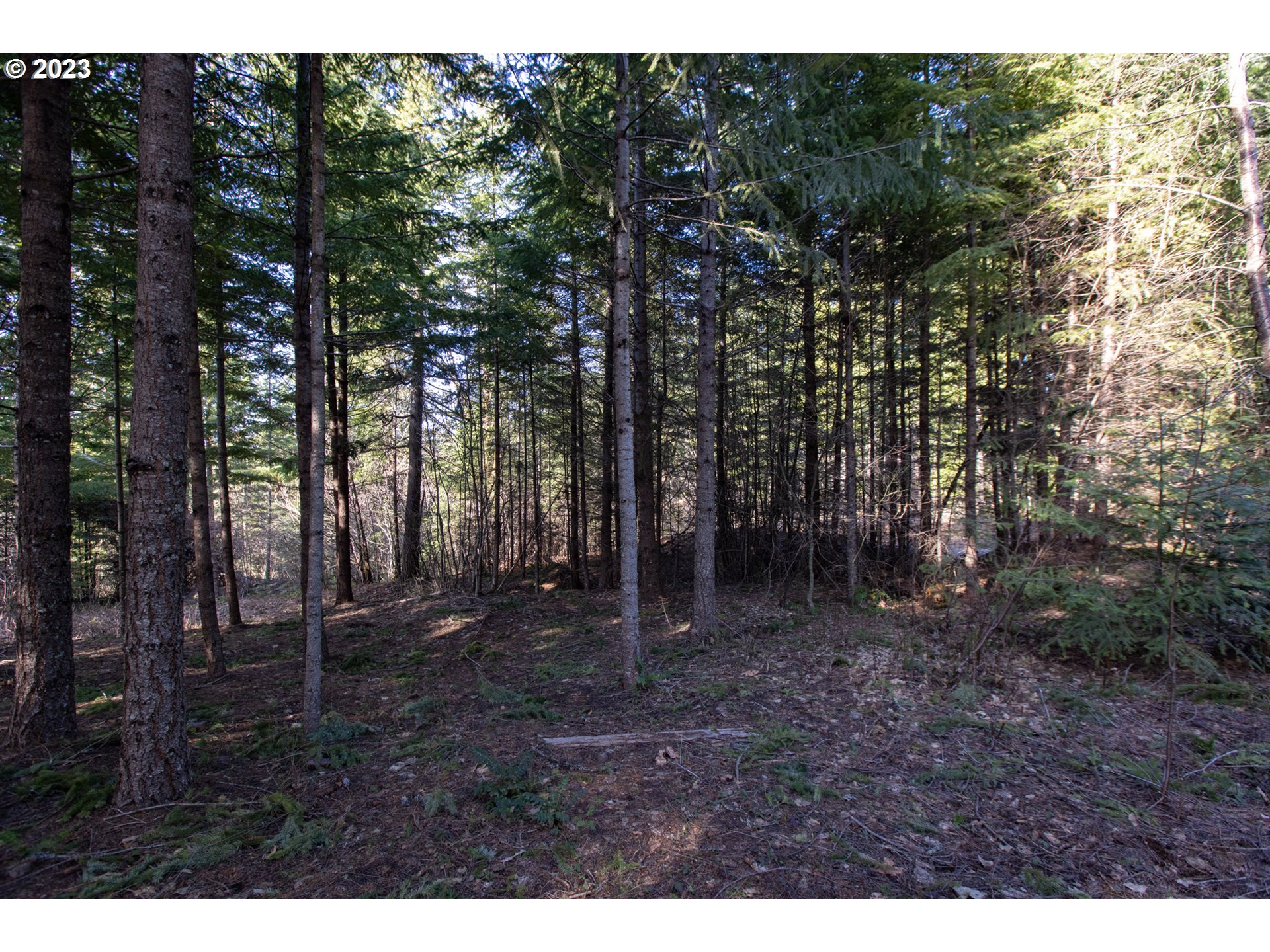 main property photo 7