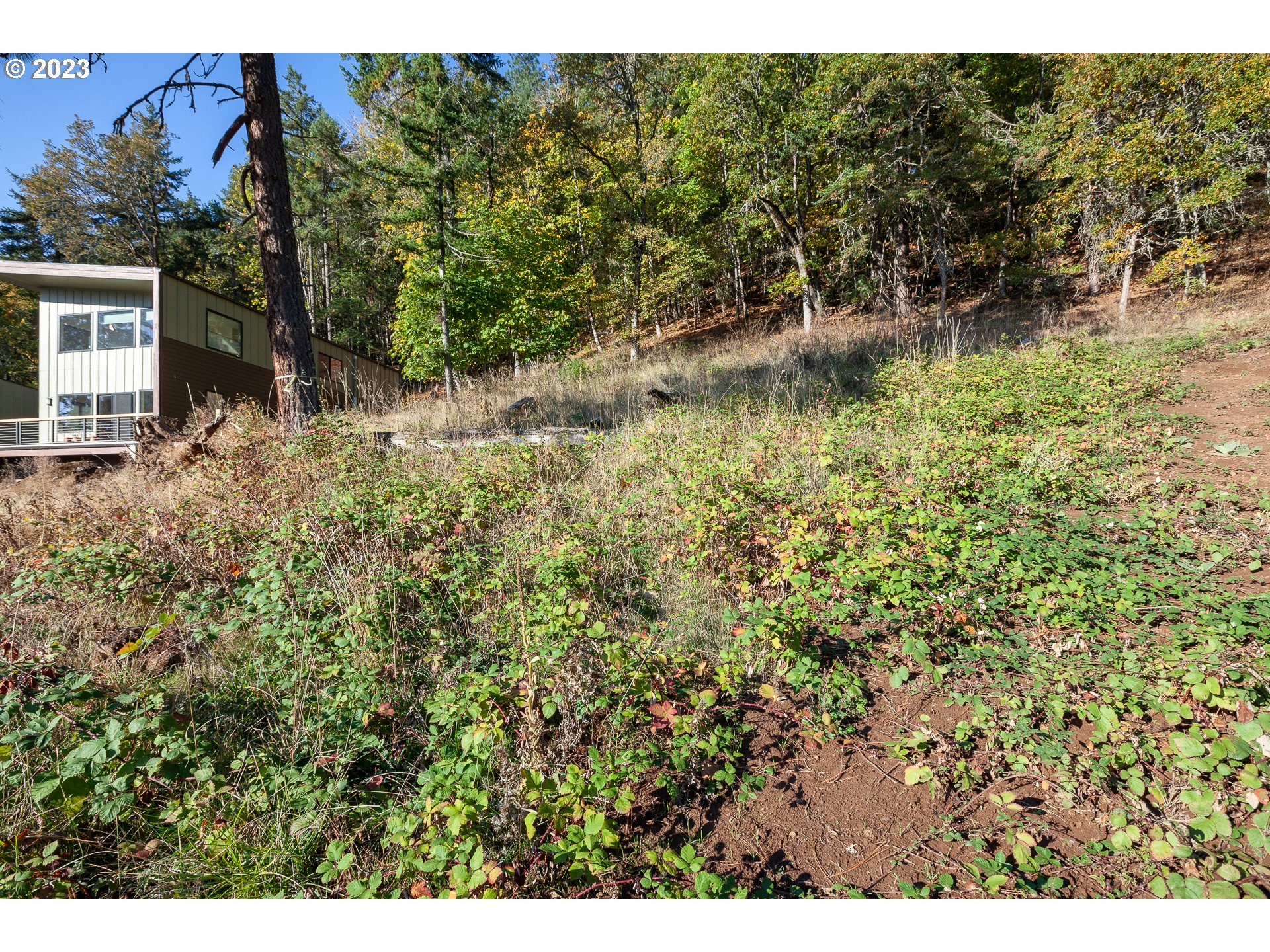 main property photo 12