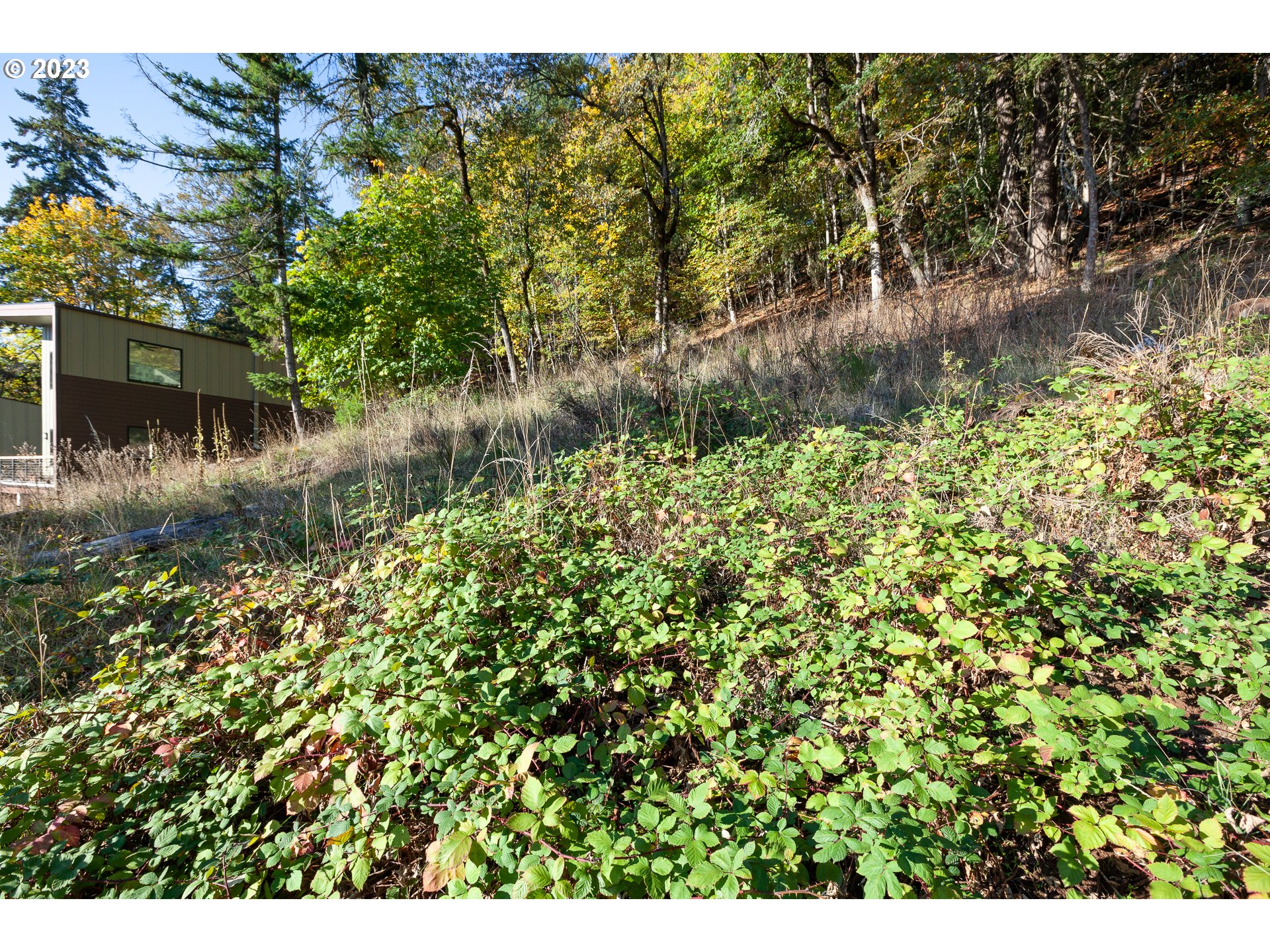 main property photo 13