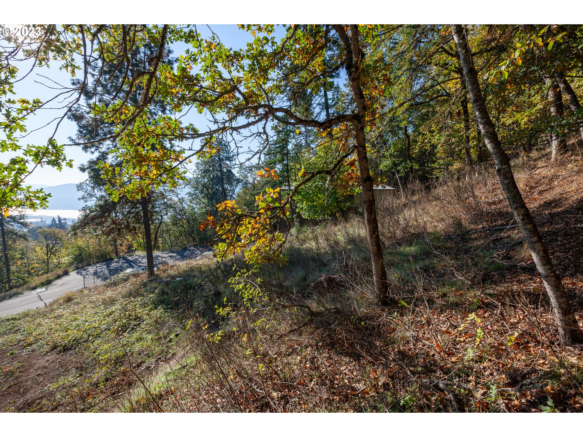 main property photo 26