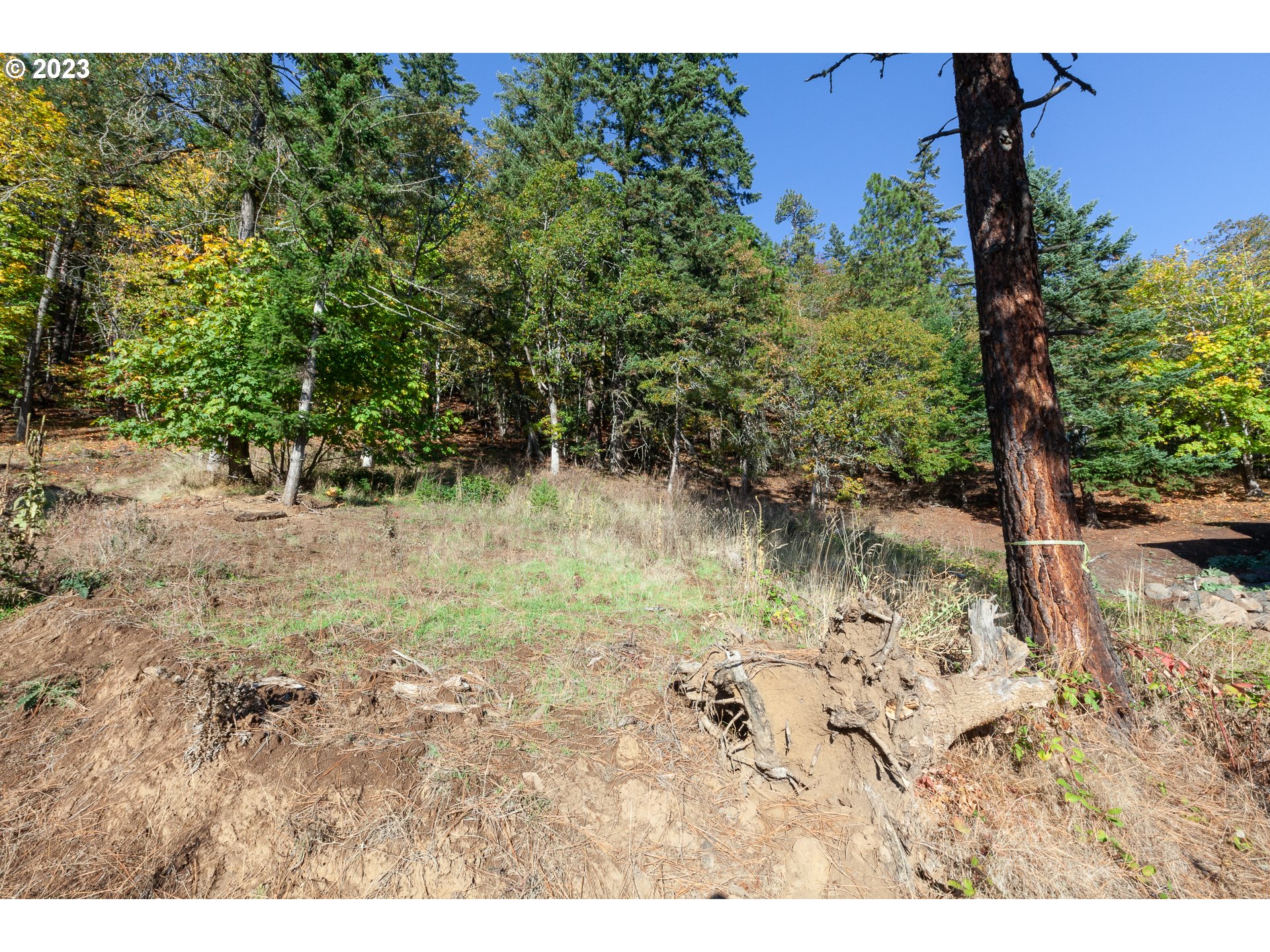main property photo 28
