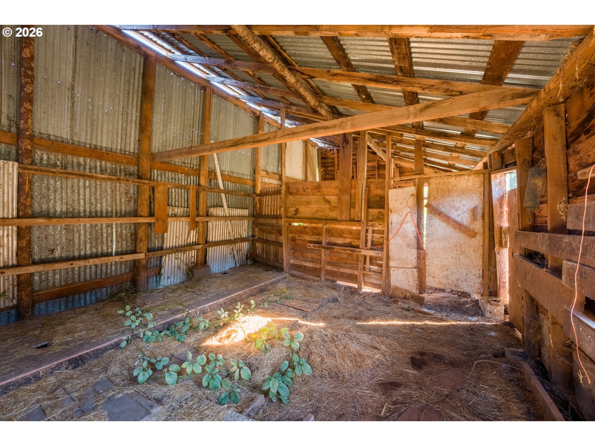 main property photo 13