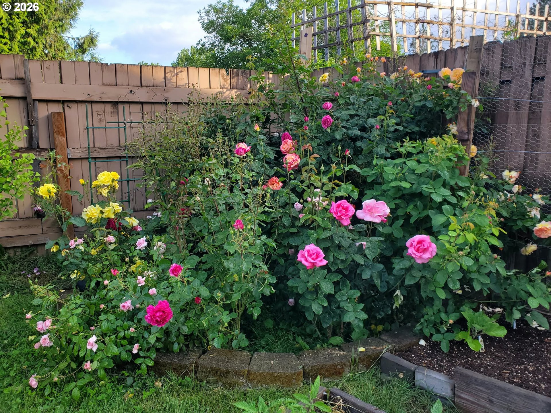 main property photo 41
