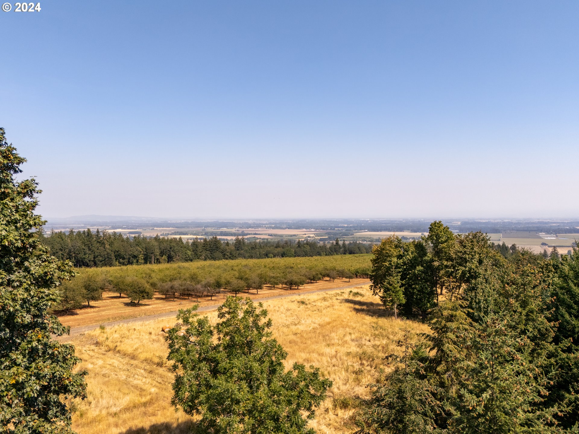 main property photo 25